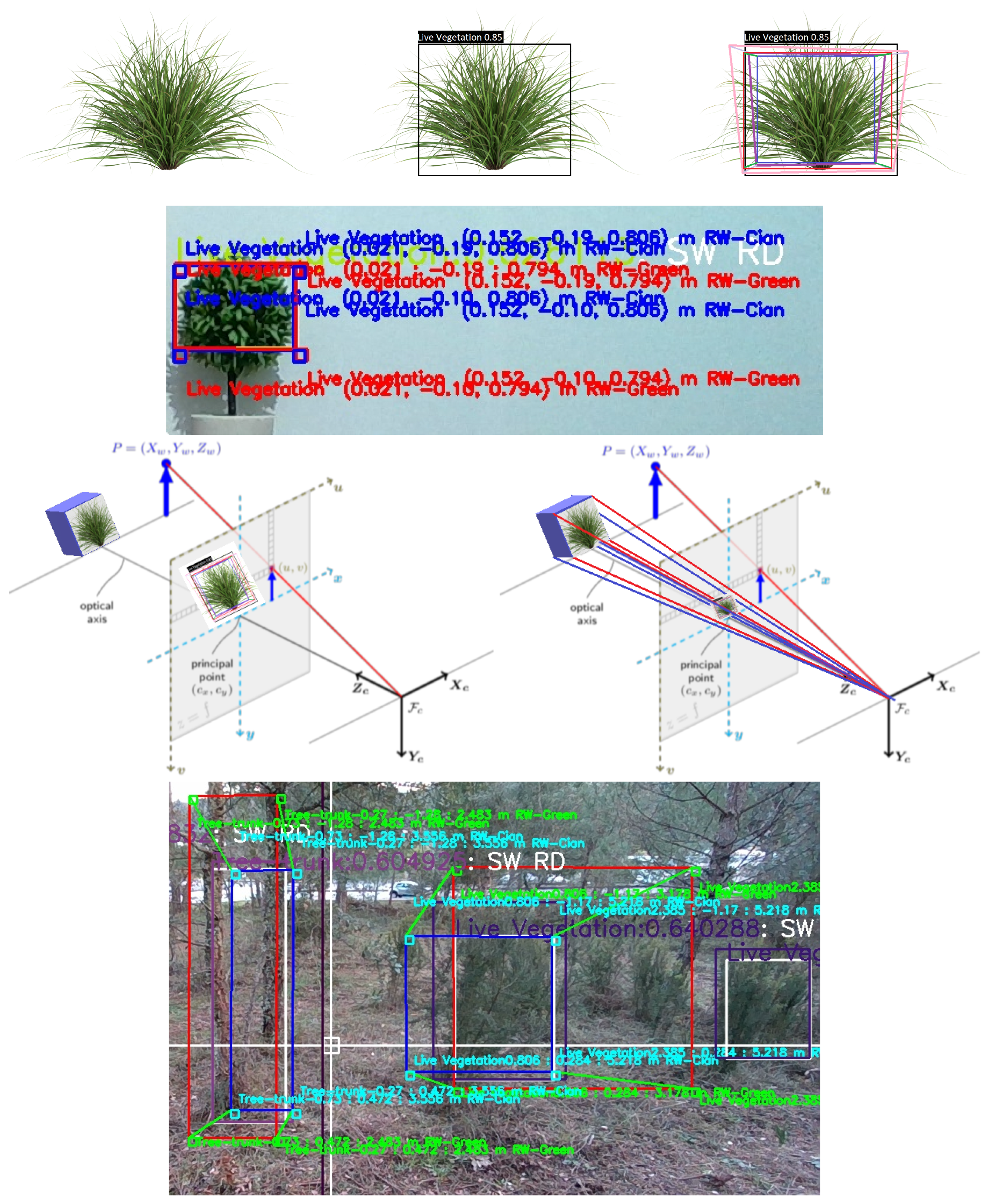 detecting trees with deepforest: a simple tutorial... Forest Vegetation 3D Localization Using Deep Learning Object Detectors