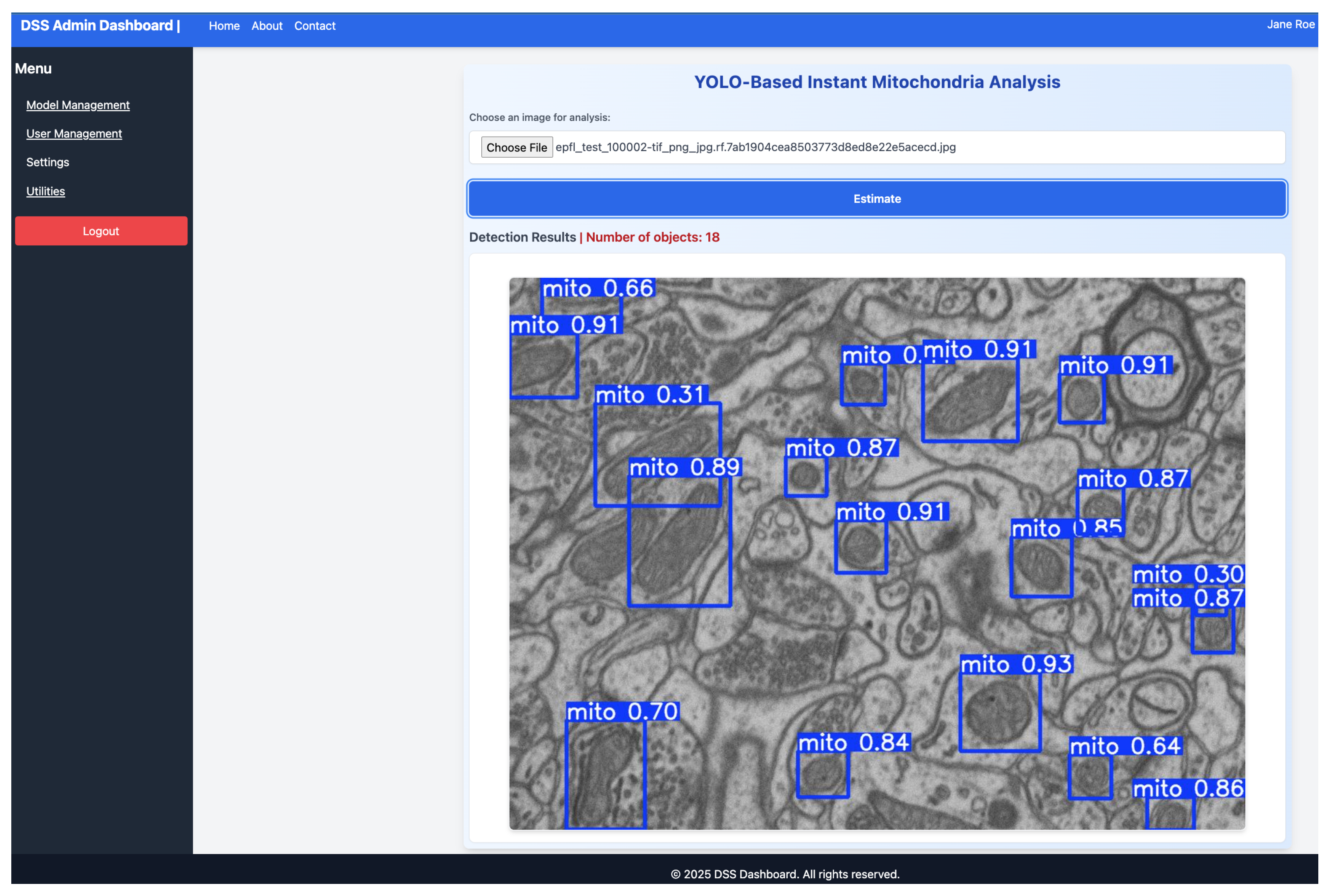 Designing a Scalable YOLO-Based Decision Support Framework for ...