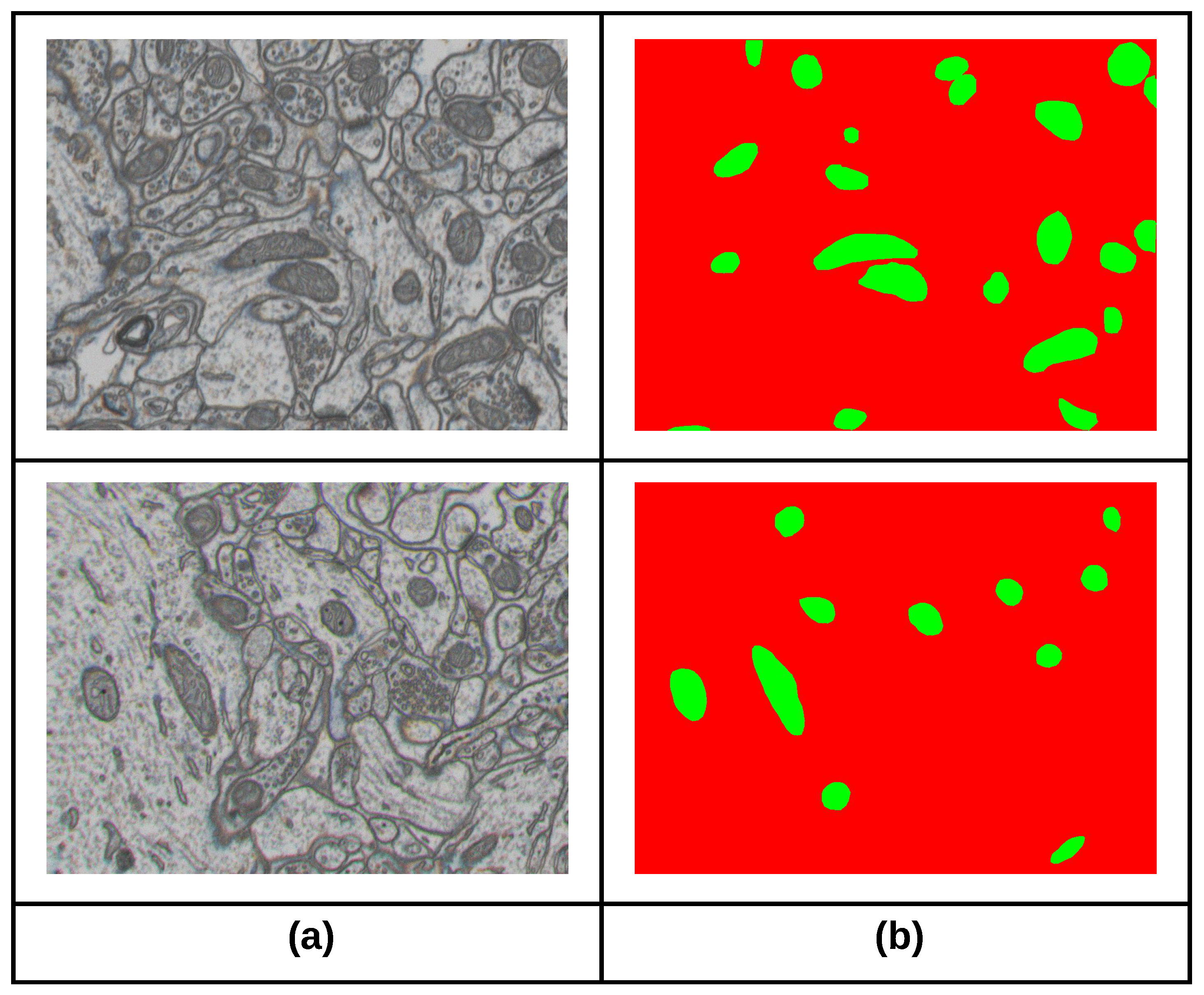 Designing a Scalable YOLO-Based Decision Support Framework for ...
