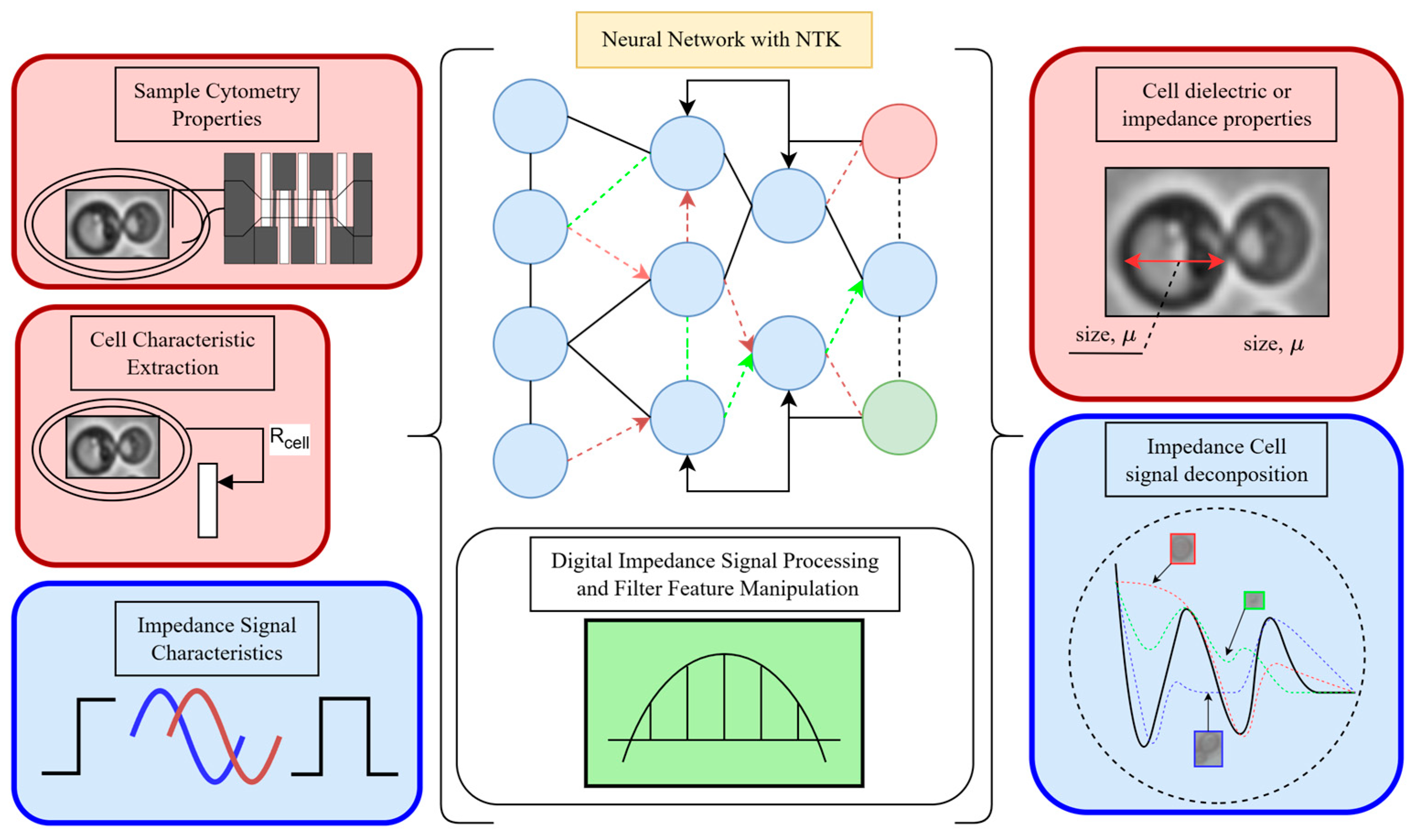 Exponential Function-Based Neural Tangent Kernels for SECM Signal ...