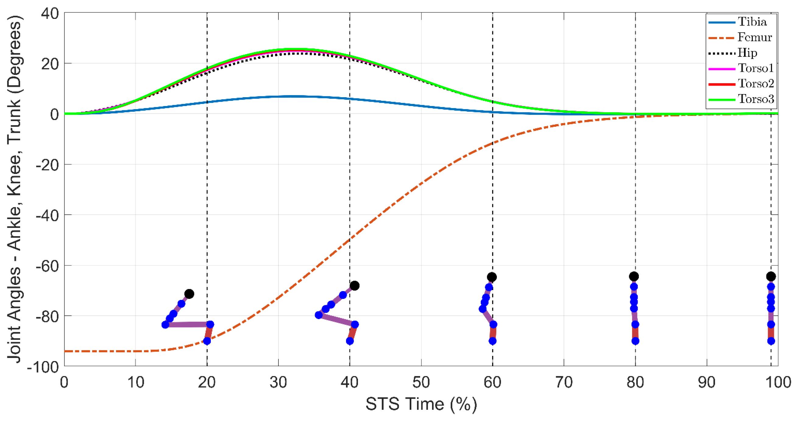Standing Agorithm Constrained Dynamic Optimization of the Sit-to-Stand Task
