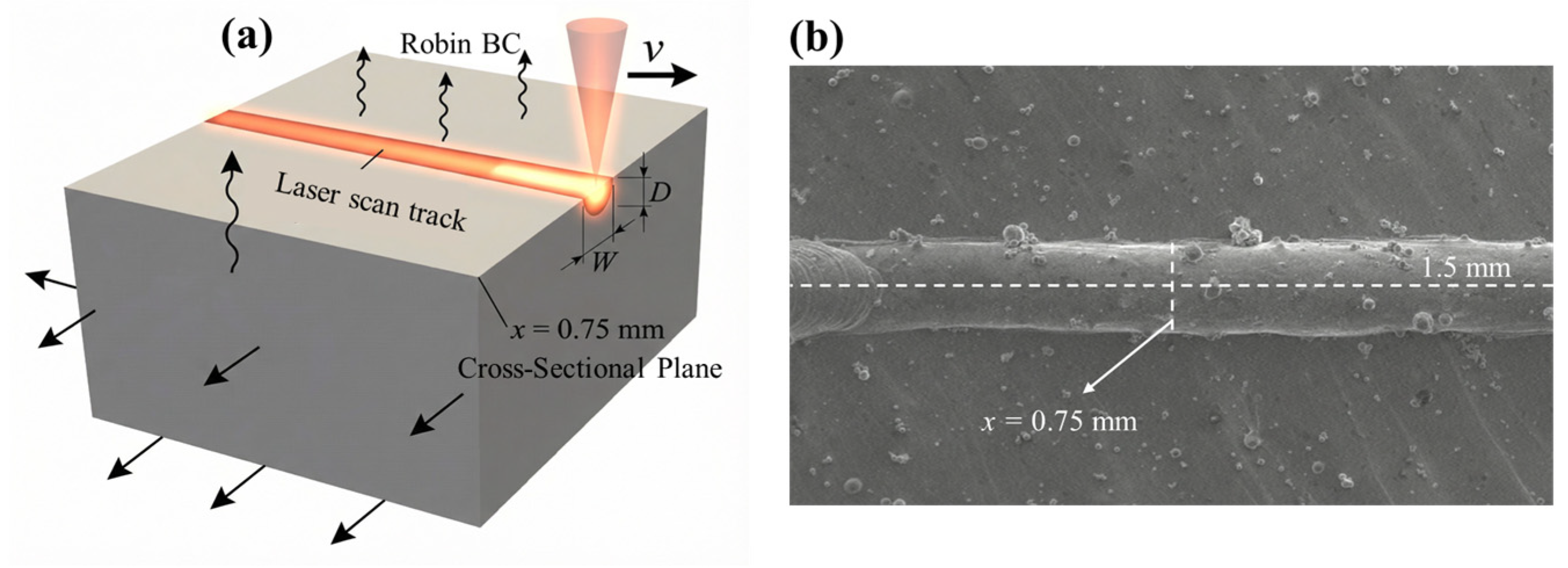 Variational Physics-Informed Neural Network for 3D Transient Melt Pool ...