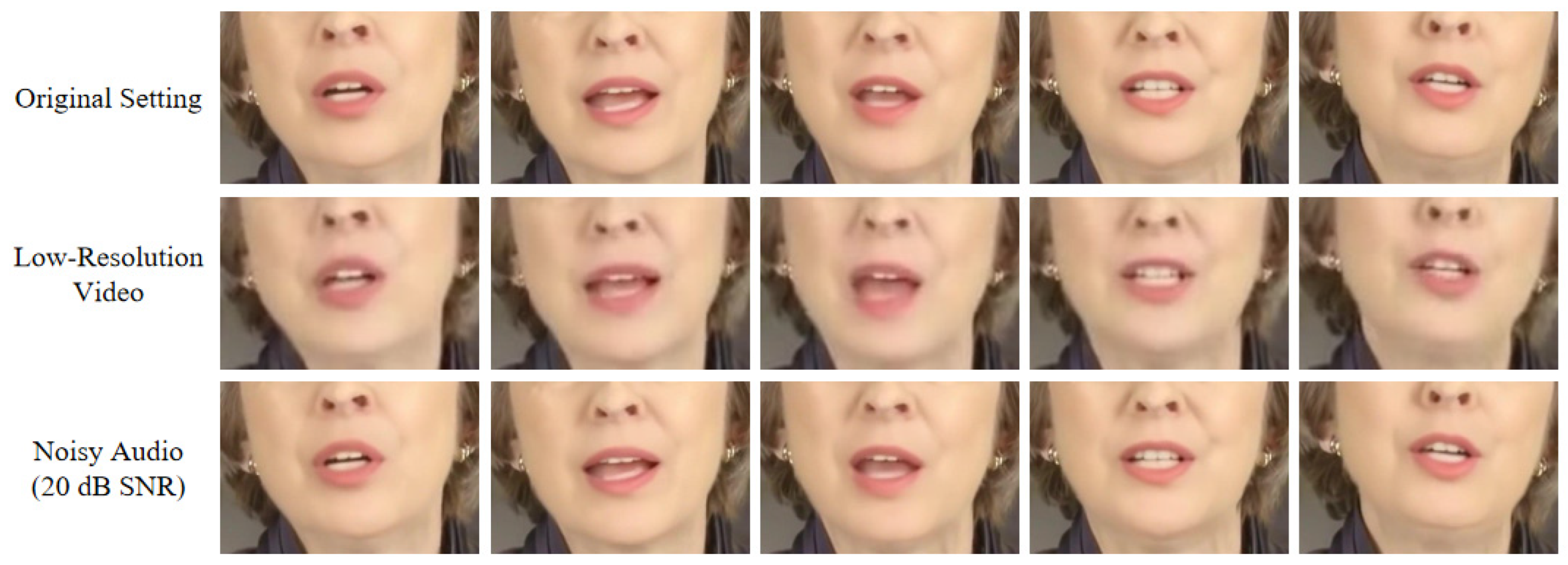 Dec Face FastTalk: Speech-Driven Lip Synchronization Video Generation for ...