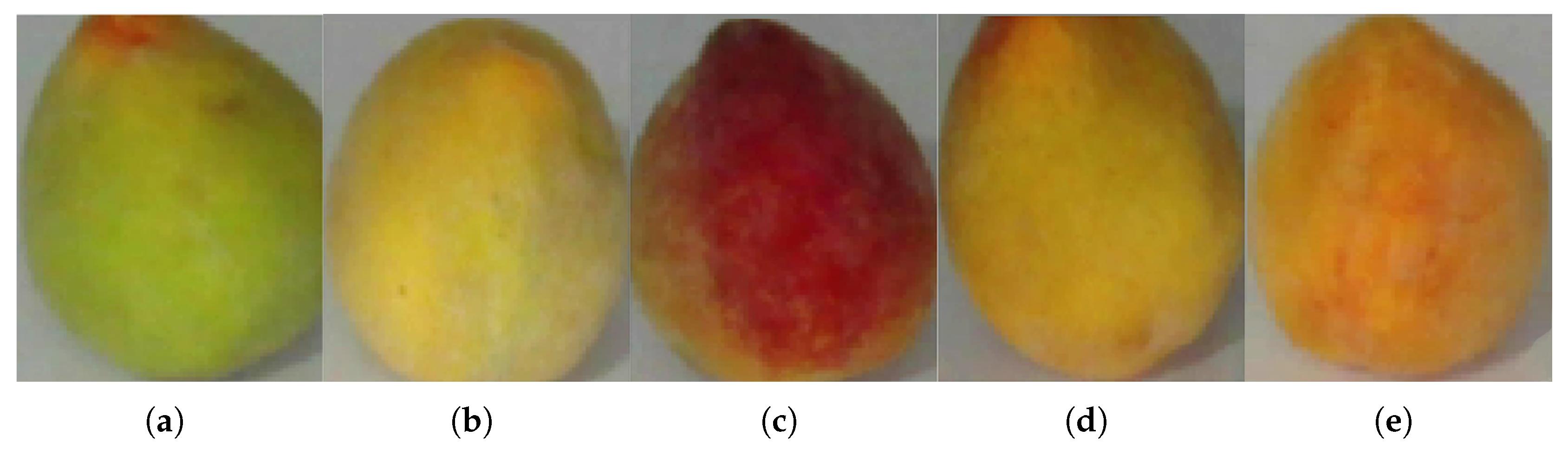 Deep Learning-Based Multistage Peach Ripeness Detection with Data ...