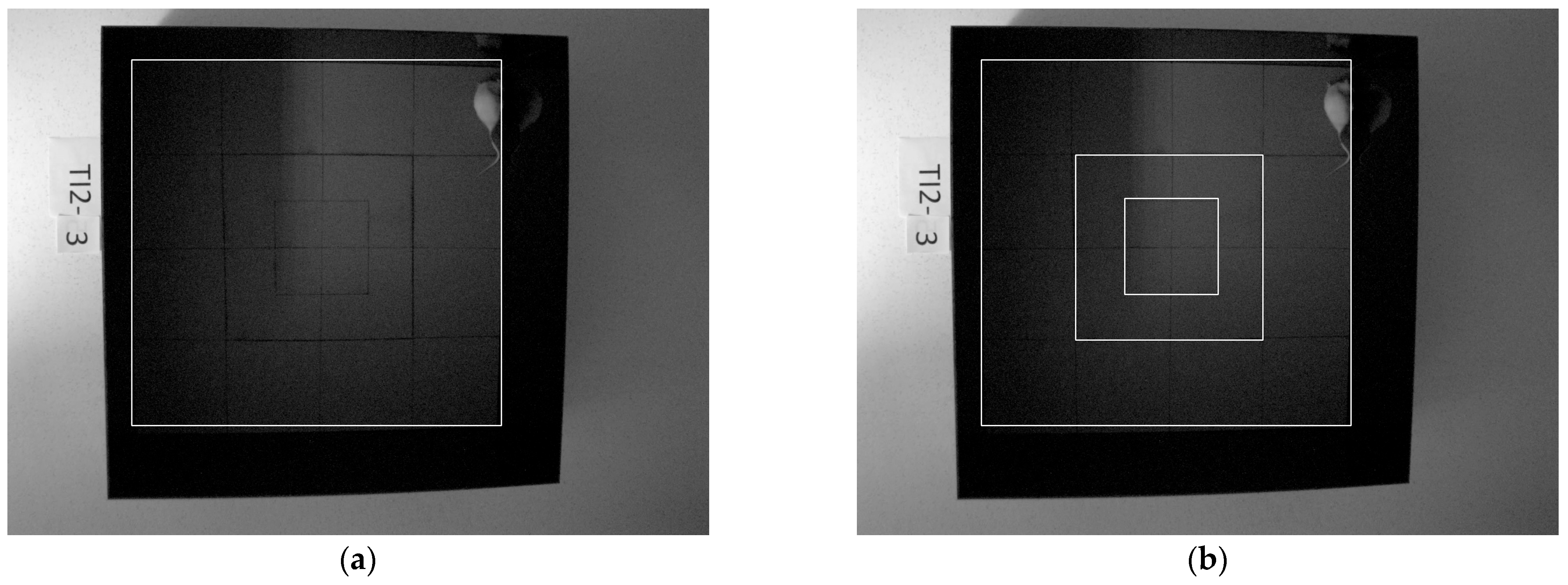 Animal Behavior Experiments Experimental Analysis of Animal Behavior for Biomedical Applications