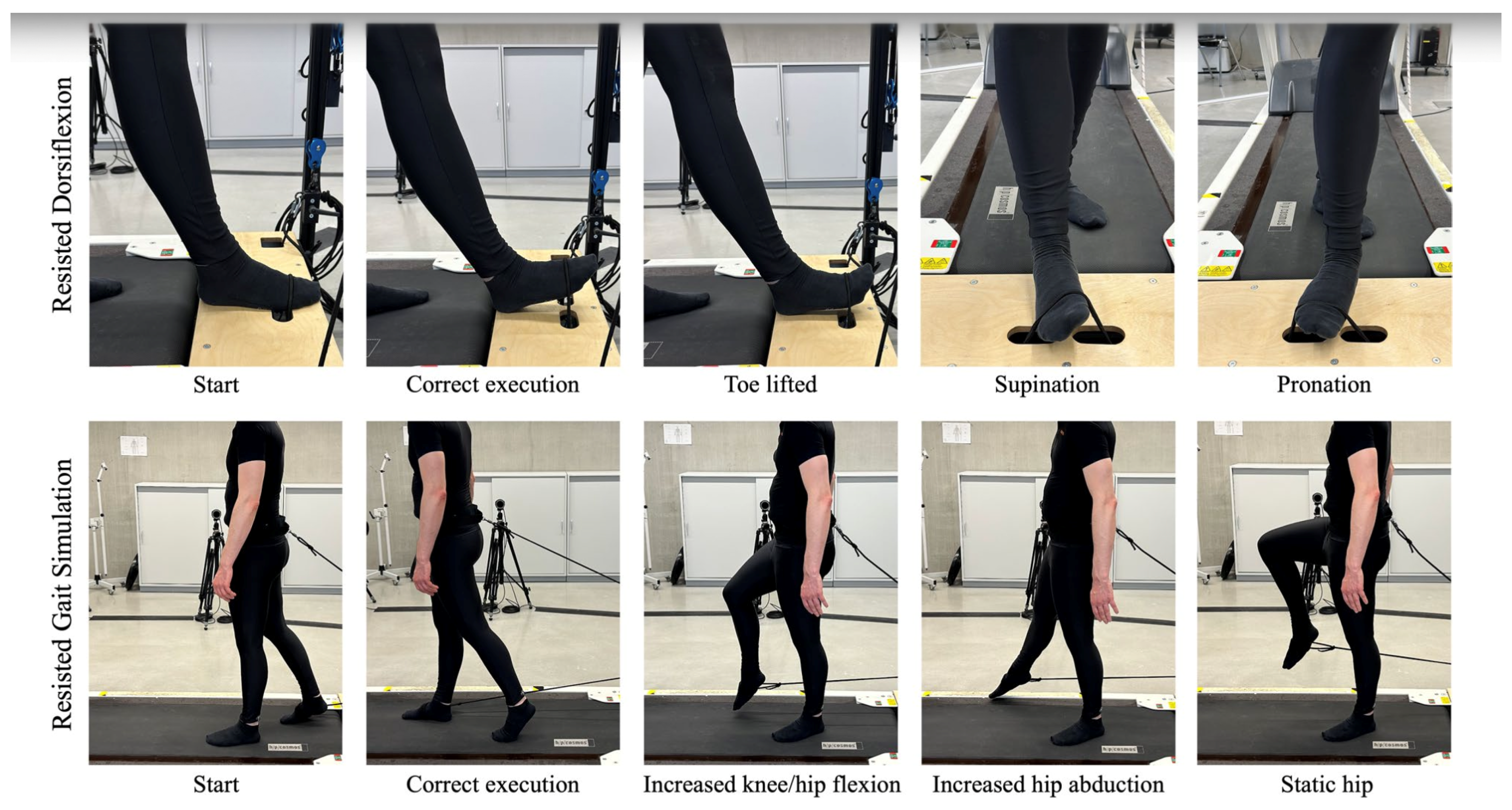 Interpretable Machine Learning Distinguishes Correct from Incorrect ...