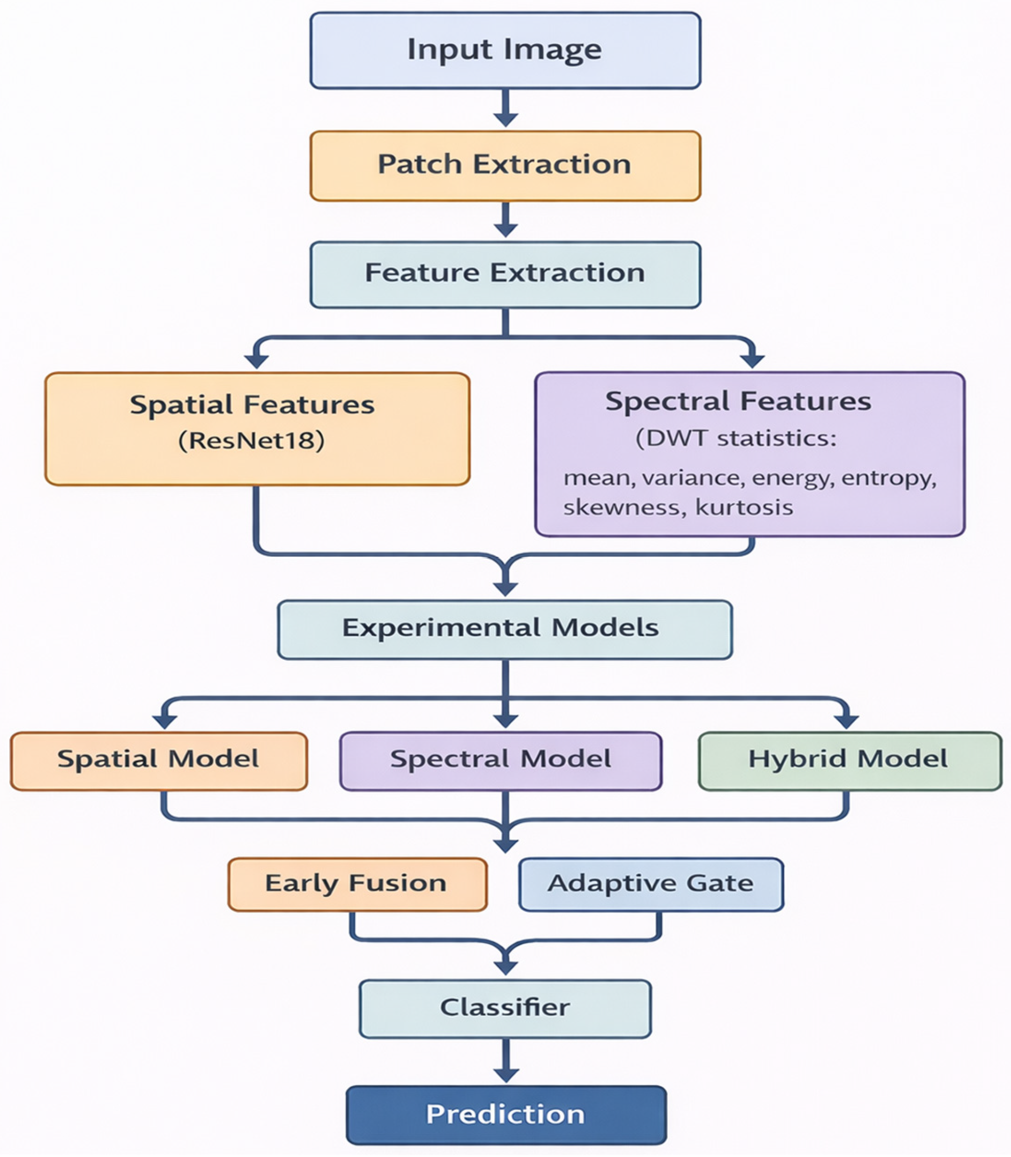 image feature and spectral feature fusion decoding. |... An Empirical Study of Spatial and Spectral Feature Fusion for Robust ...