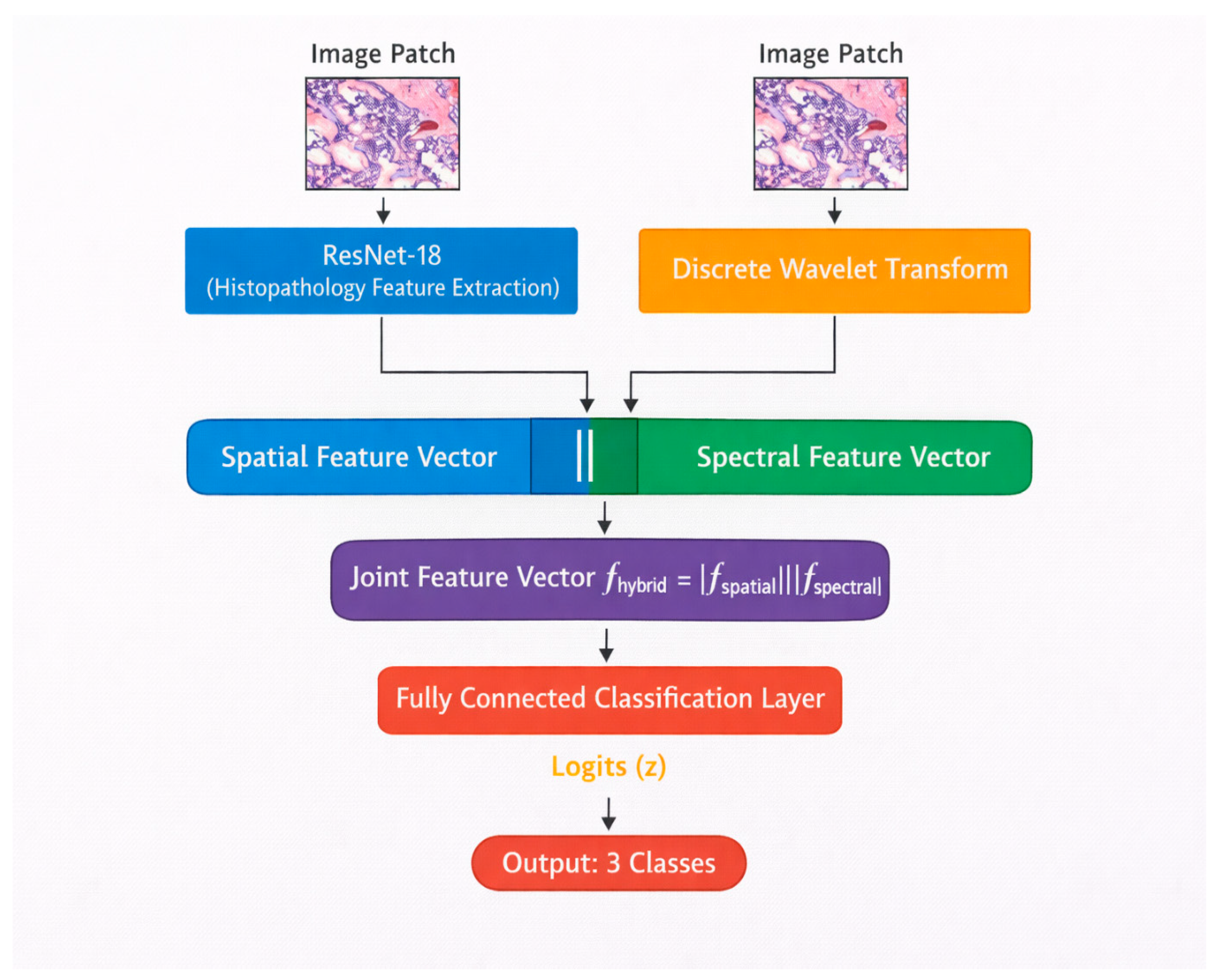 image feature and spectral feature fusion decoding. |... An Empirical Study of Spatial and Spectral Feature Fusion for Robust ...