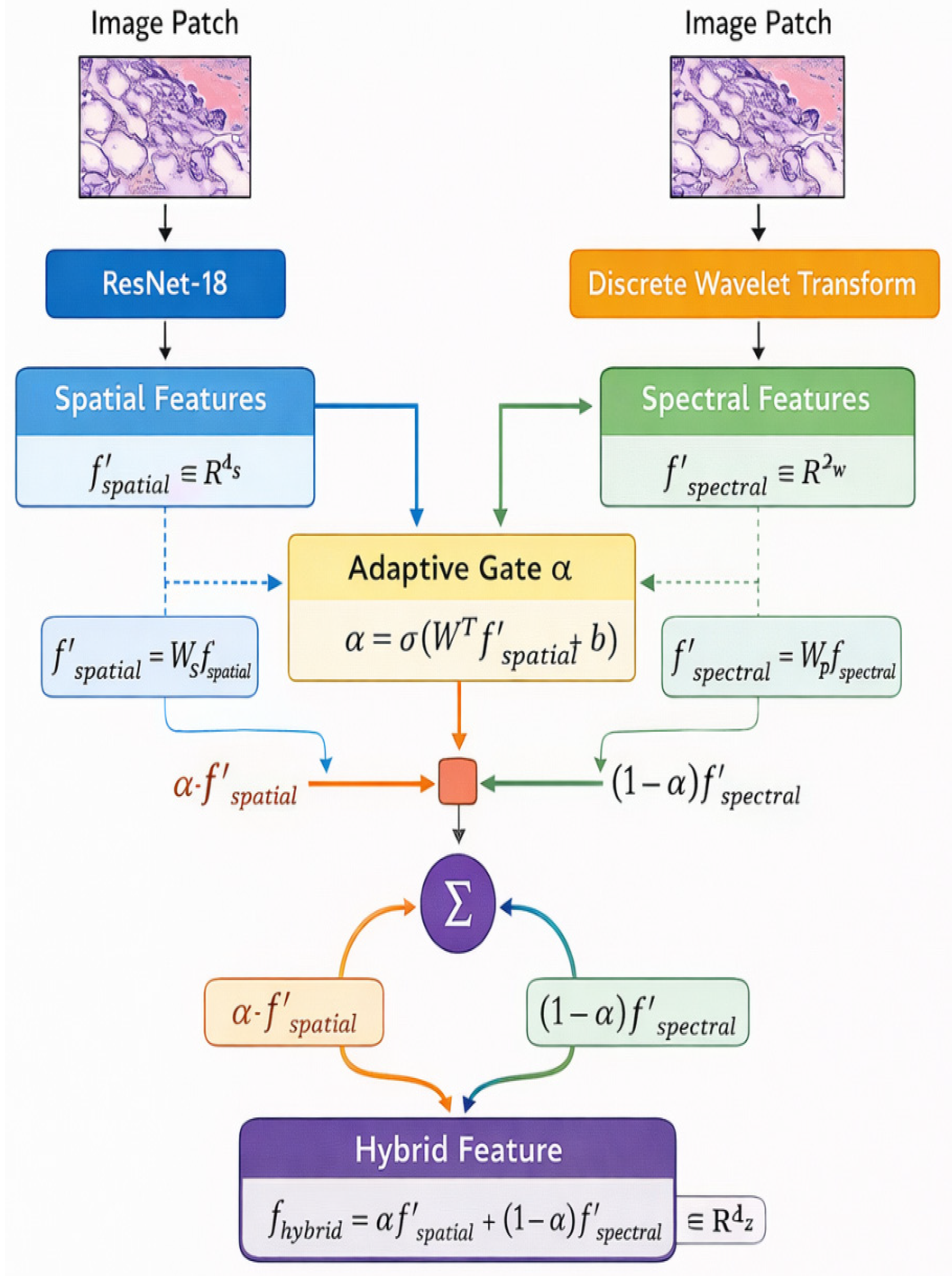 image feature and spectral feature fusion decoding. |... An Empirical Study of Spatial and Spectral Feature Fusion for Robust ...