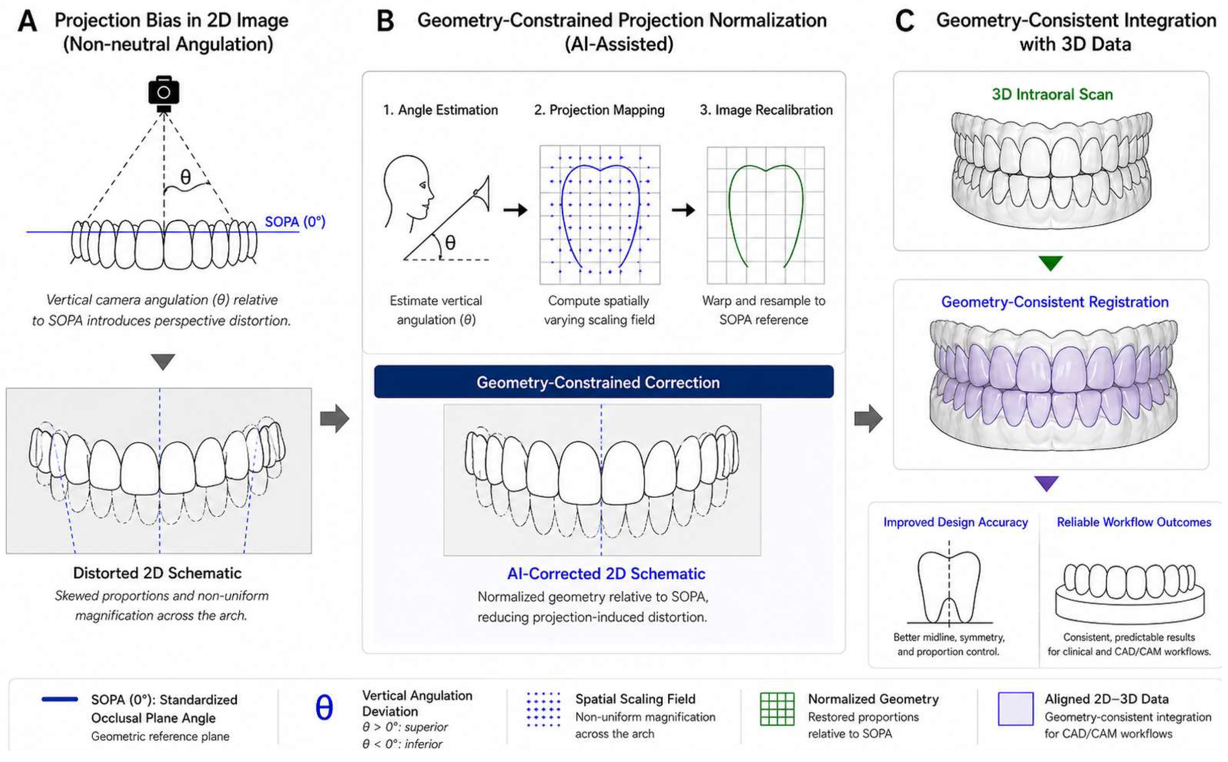 Geometric Distortion Induced by Vertical Camera Positioning in Dental ...