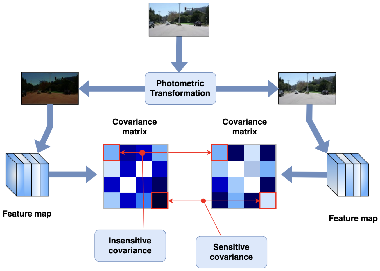 Improving Domain Generalization via Bridging Convolutional Neural ...