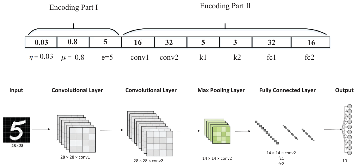 Multi-Objective Federated Learning via Evolutionary Knowledge Transfer