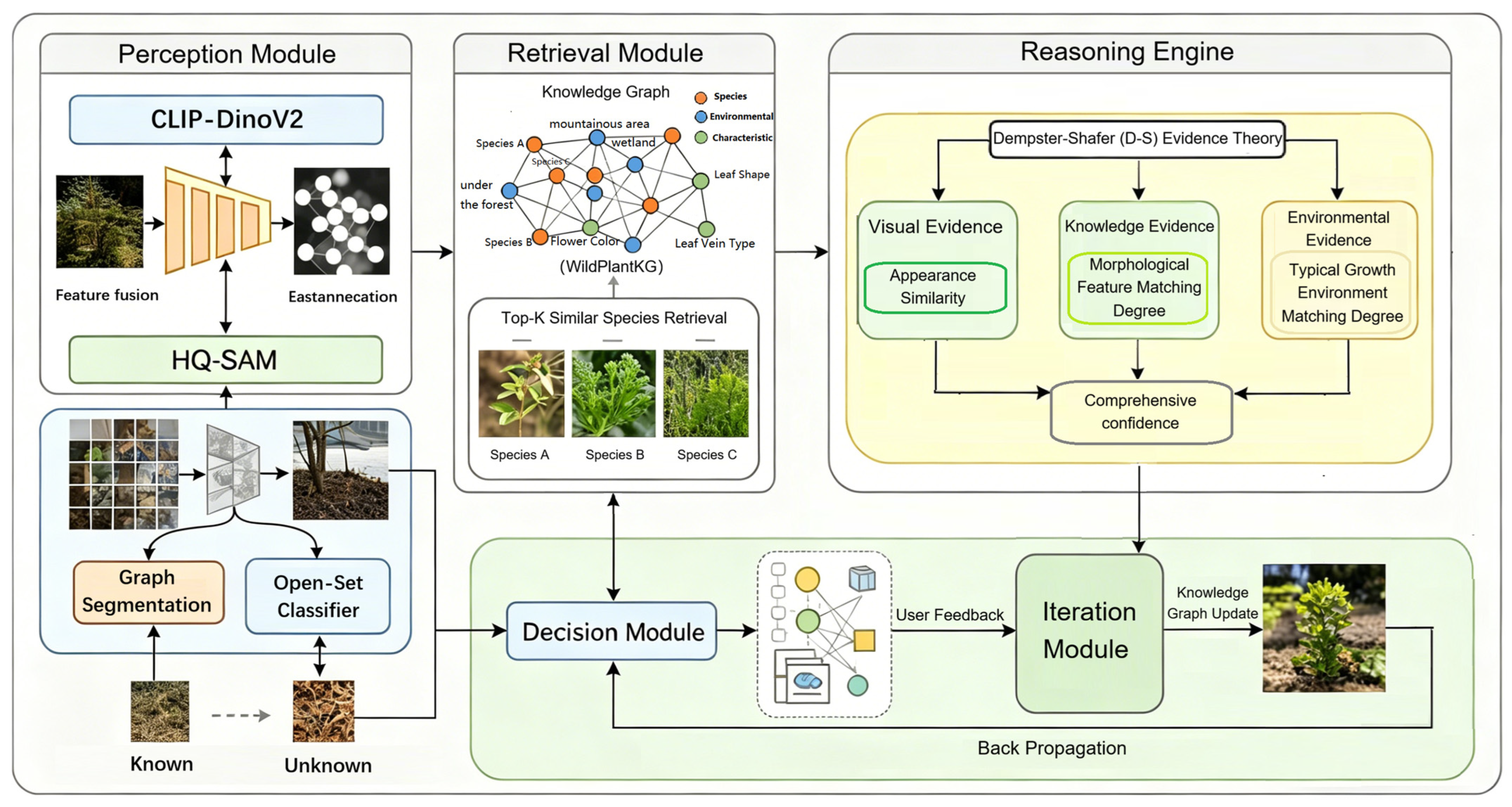 Reasoning-Centric Framework for Open-Set Wild Plant Recognition