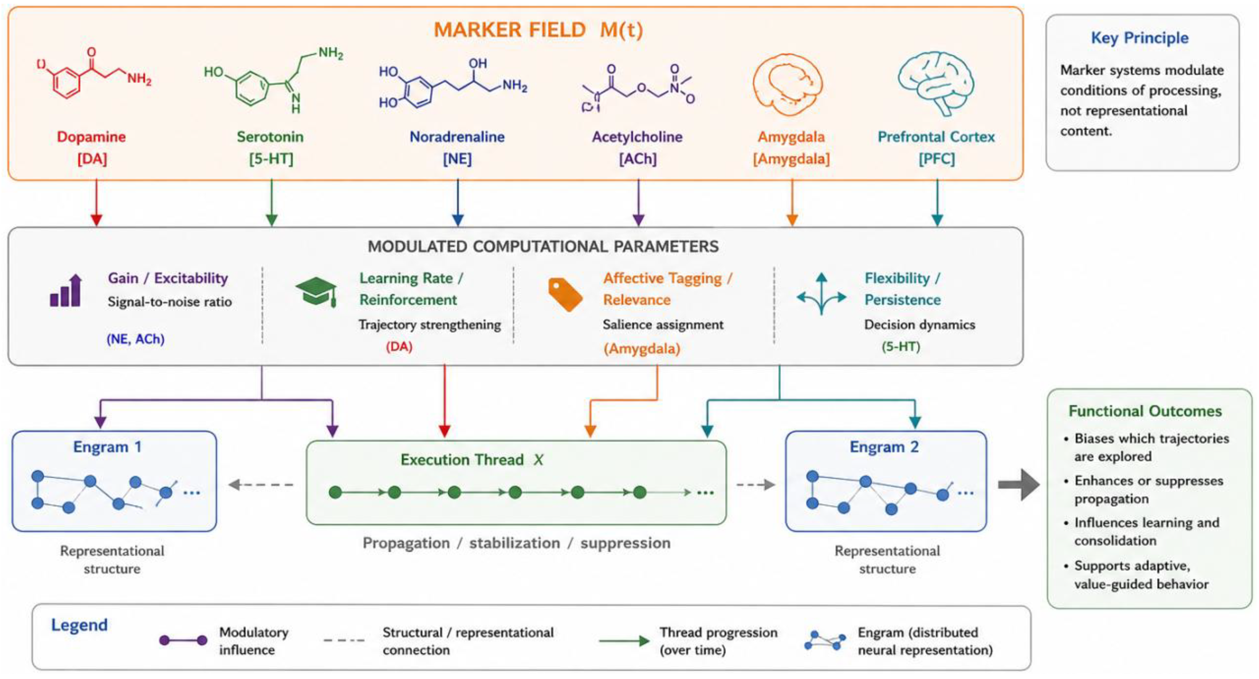 The DIME Architecture: A Unified Operational Algorithm for Neural ...