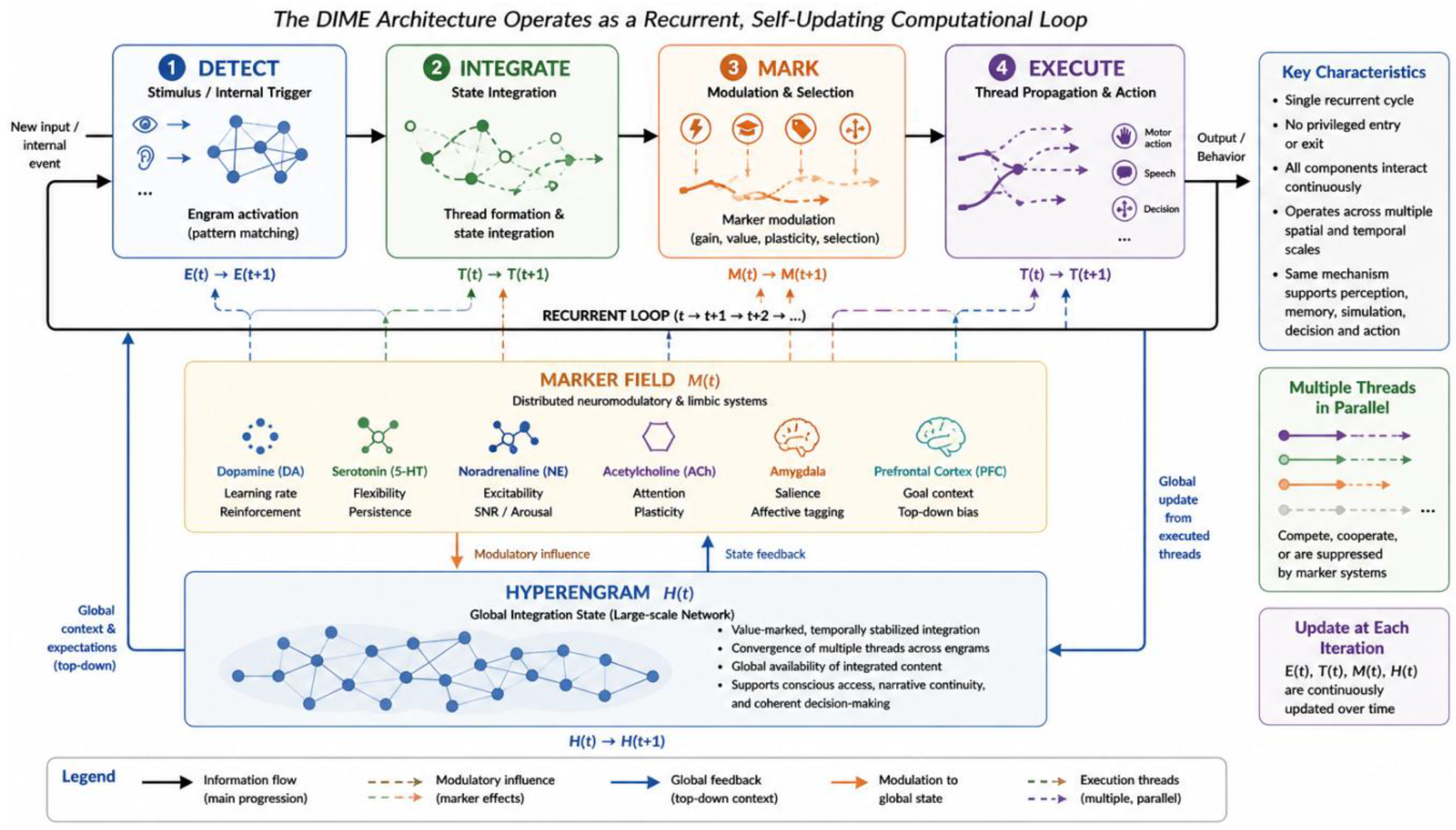 The DIME Architecture: A Unified Operational Algorithm for Neural ...