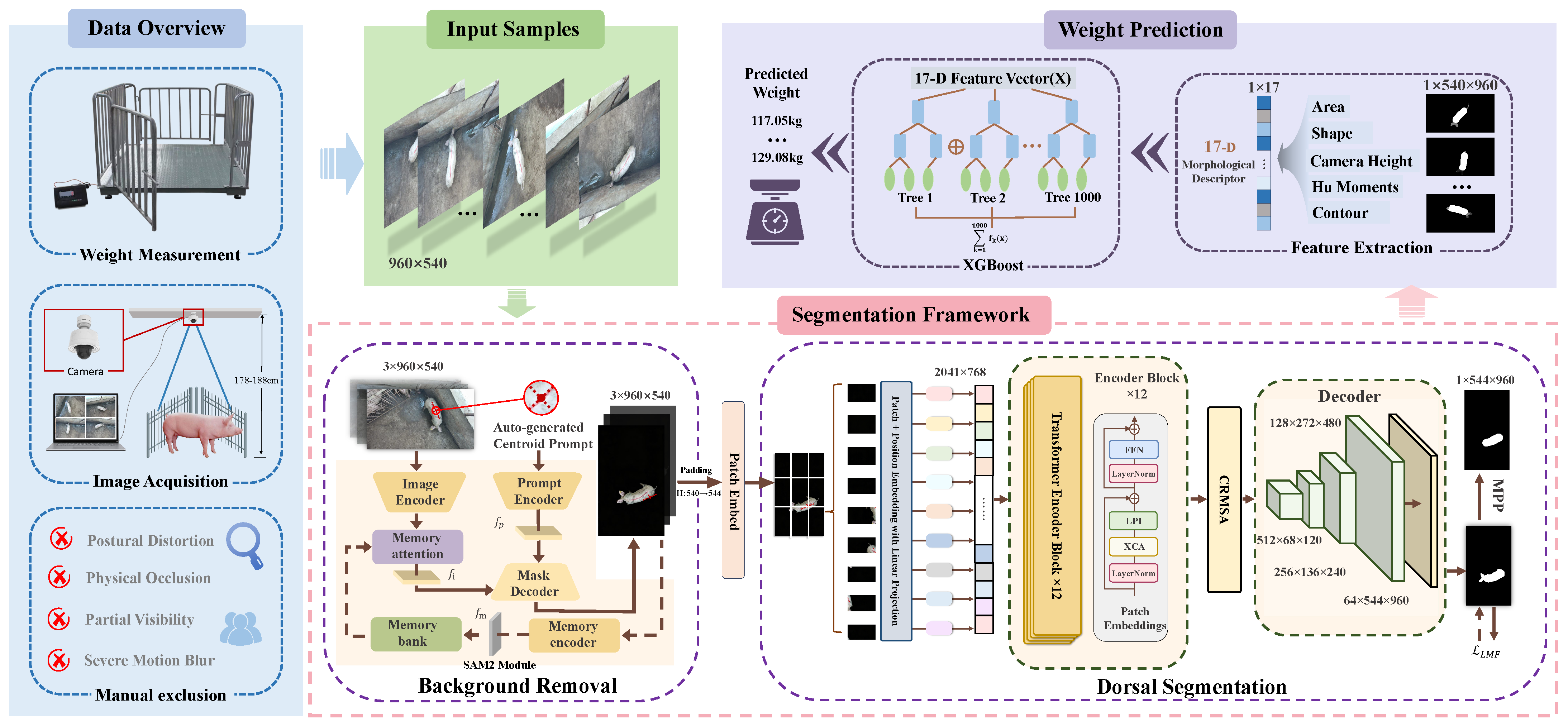 SAM 2-Assisted Vision Transformer and Morphometric Feature Engineering ...