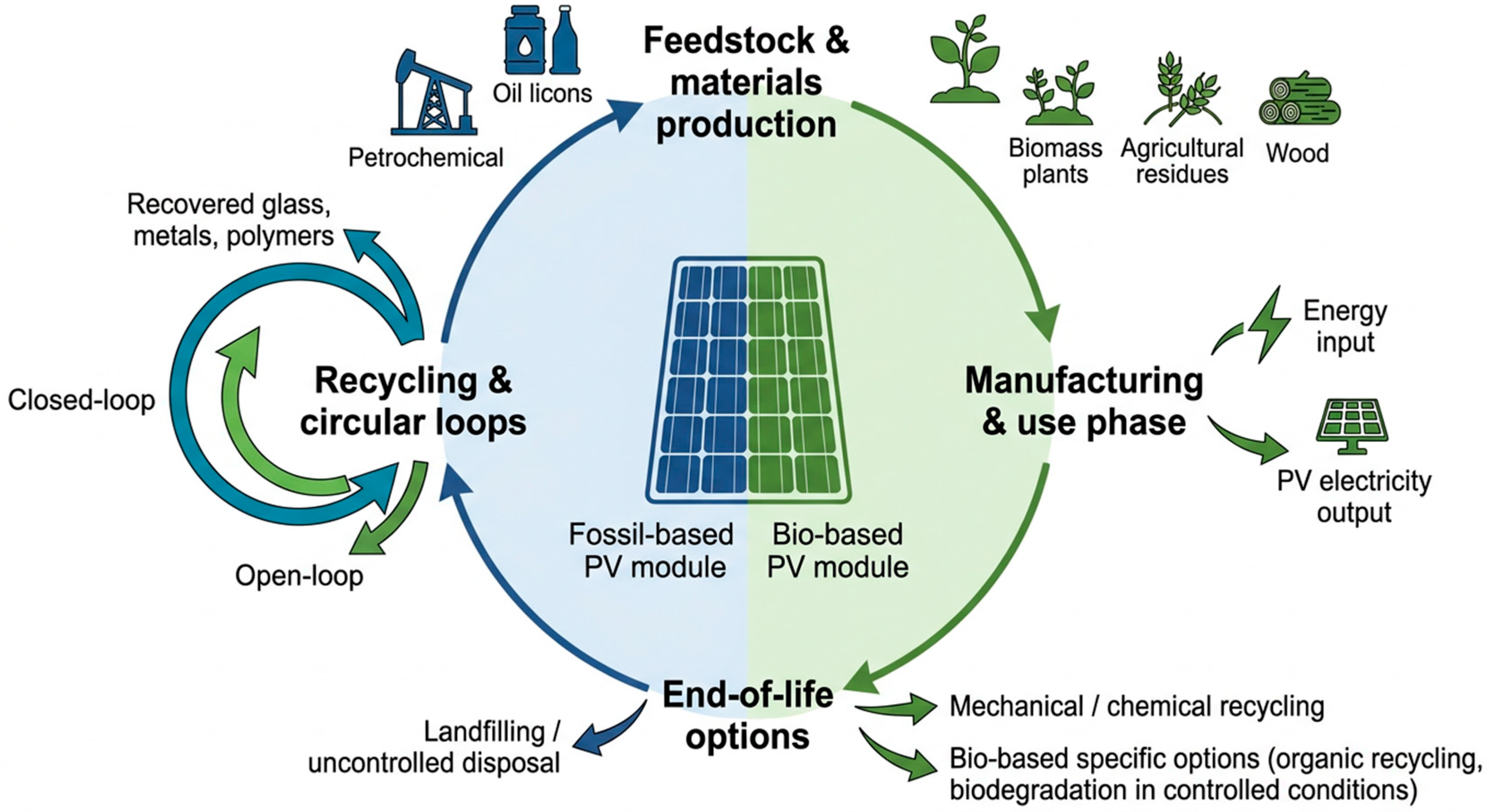 Bio-Based Materials in Modern Photovoltaic Cells: From Active Layers ...