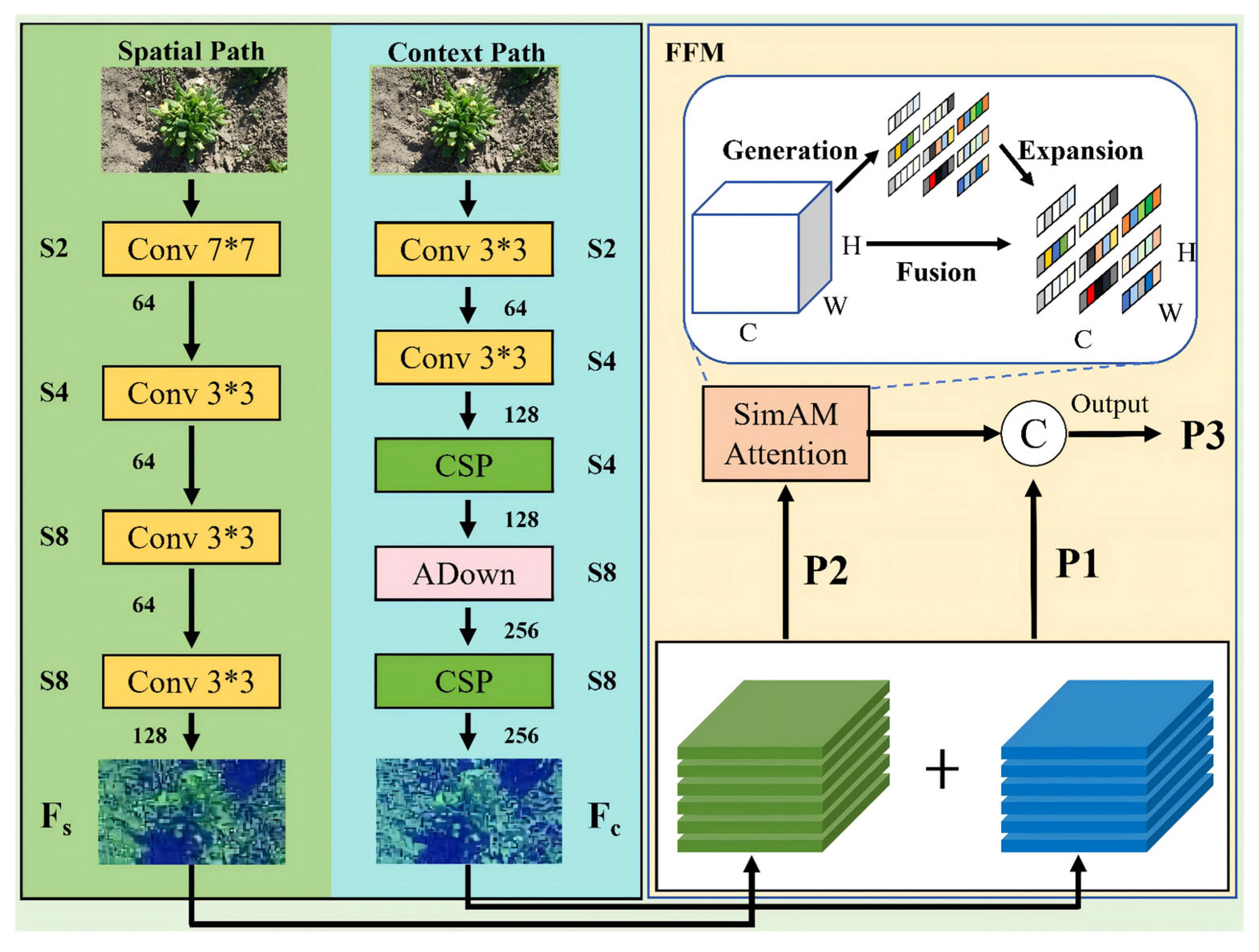 RT-BMTR: A Bilateral Hybrid Backbone Network for Crop and Weed ...