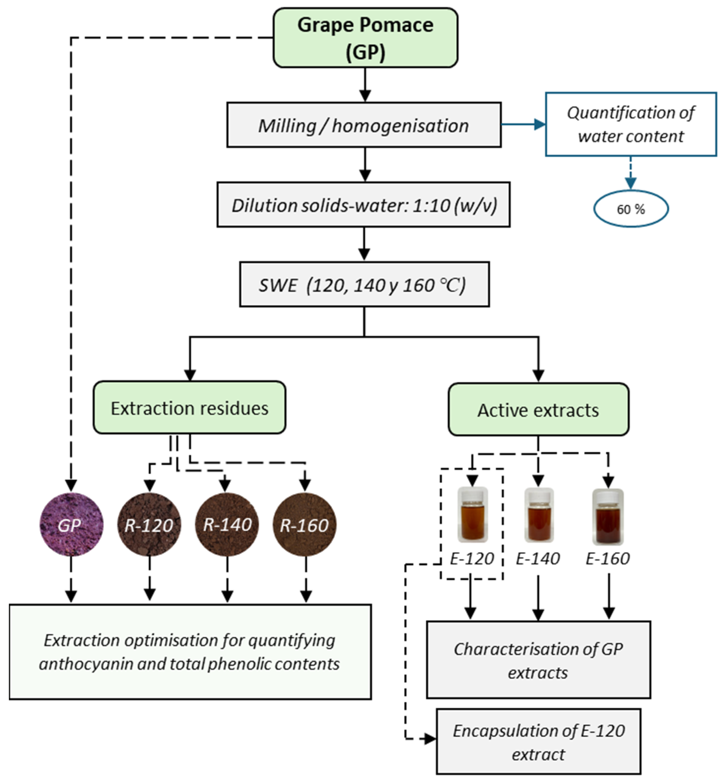 Applying Subcritical Water Extraction to Fractionate Grape Pomace into ...