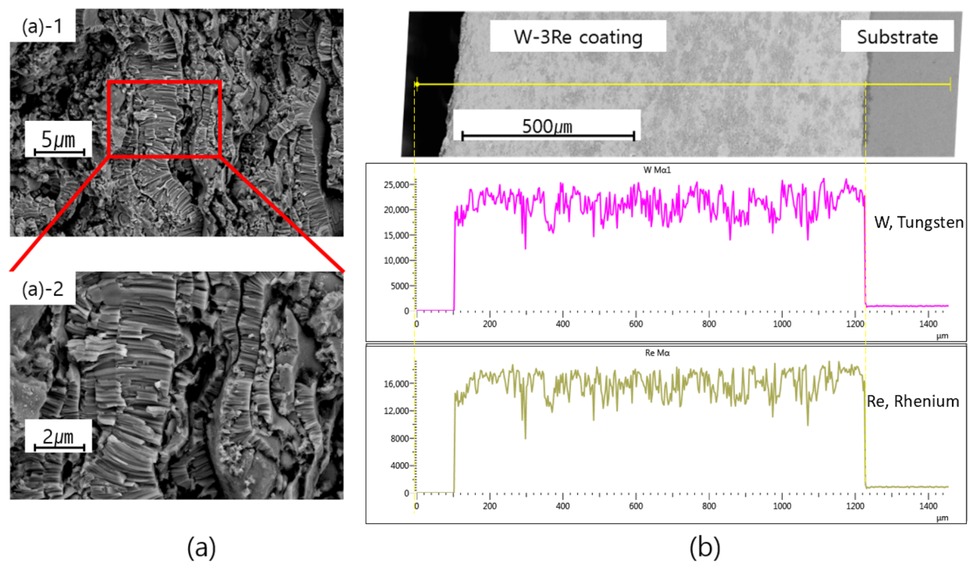 10087 Microstructural and Mechanical Characterization of W-3Re Coatings on ...