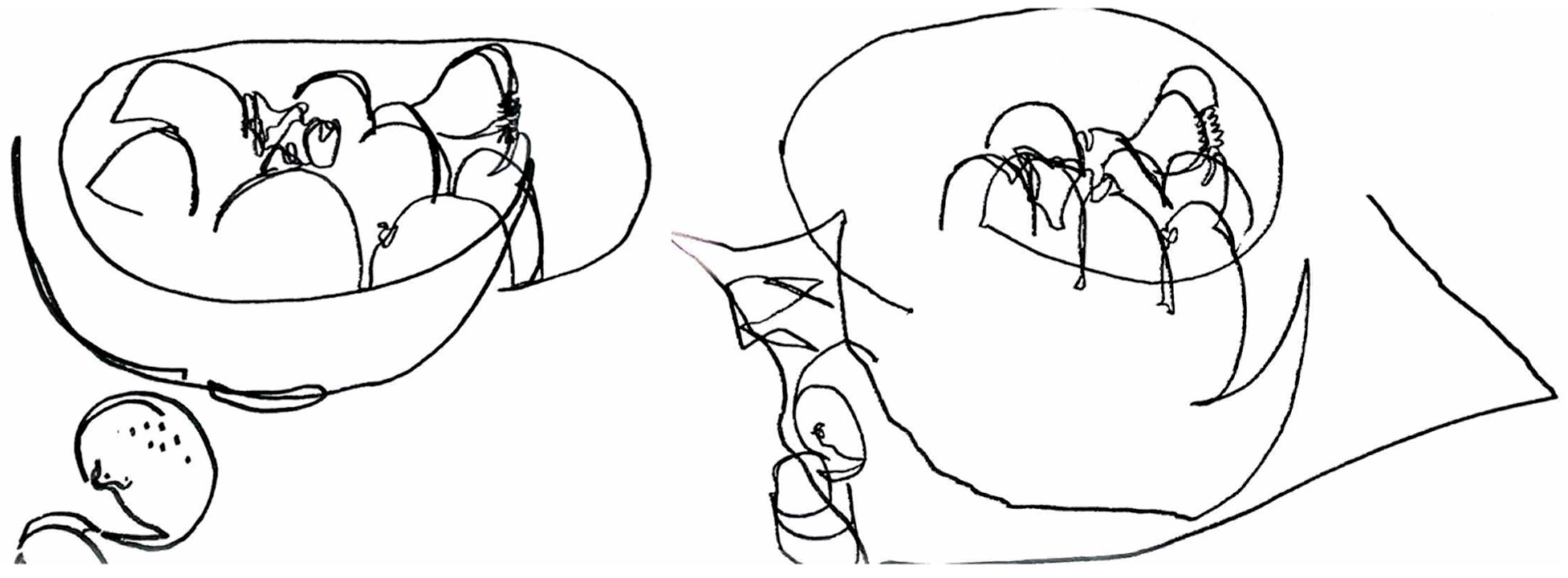 Engaging Cognition Through Learning to Draw: A Tool for Health Promotion