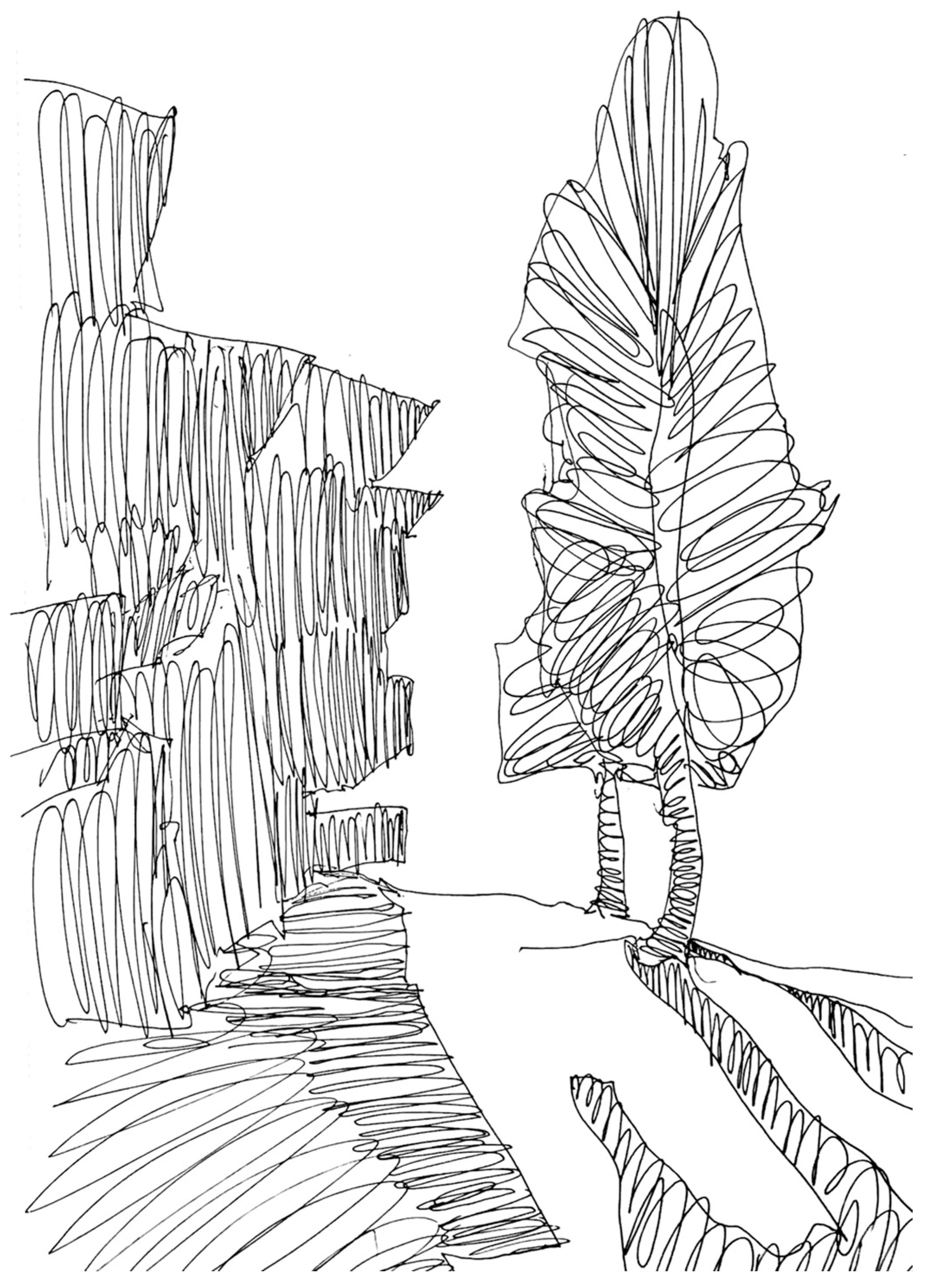 Engaging Cognition Through Learning to Draw: A Tool for Health Promotion