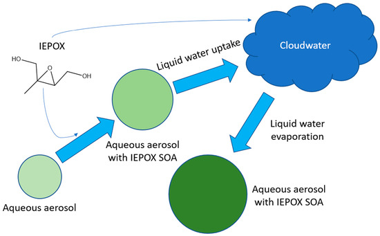 Glyoxal as a Potential Source of Highly Viscous Aerosol Particles