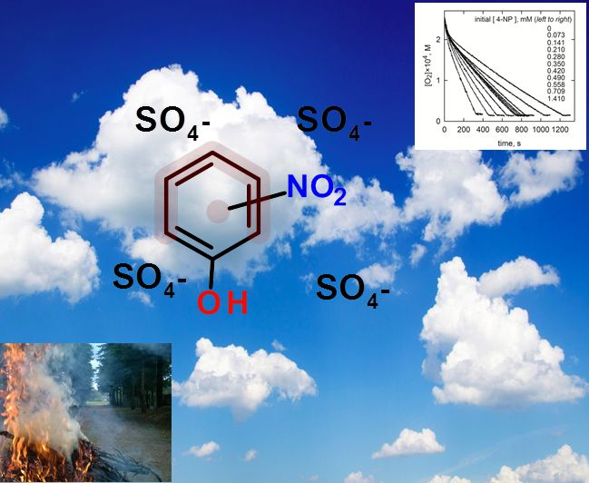 Sulfur radical formation from the tropospheric irradiation of