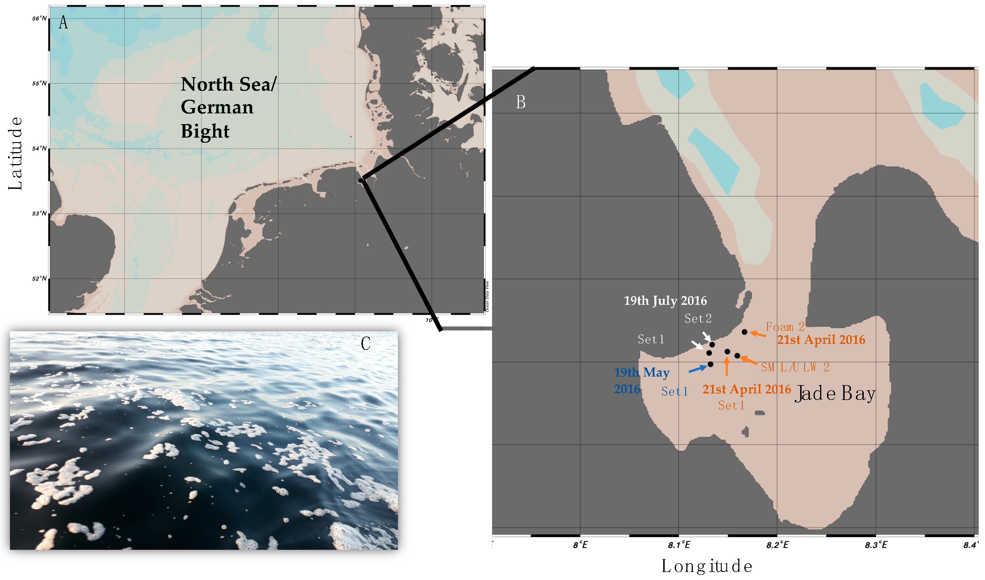 Atmosphere | Free Full-Text | Overlooked Diversity of ...