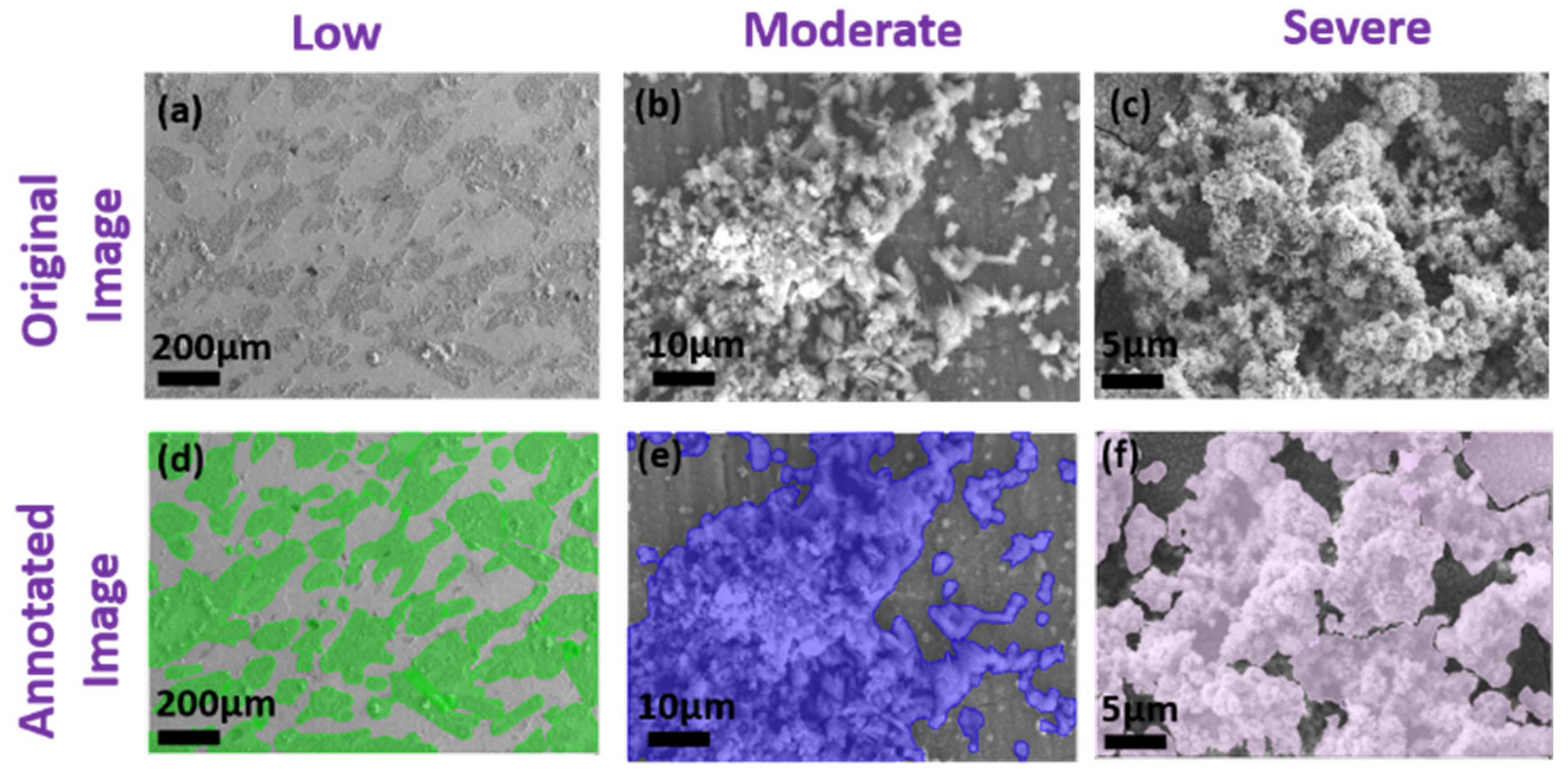 A Two-Stage Deep Learning Framework for Automated Corrosion Detection ...