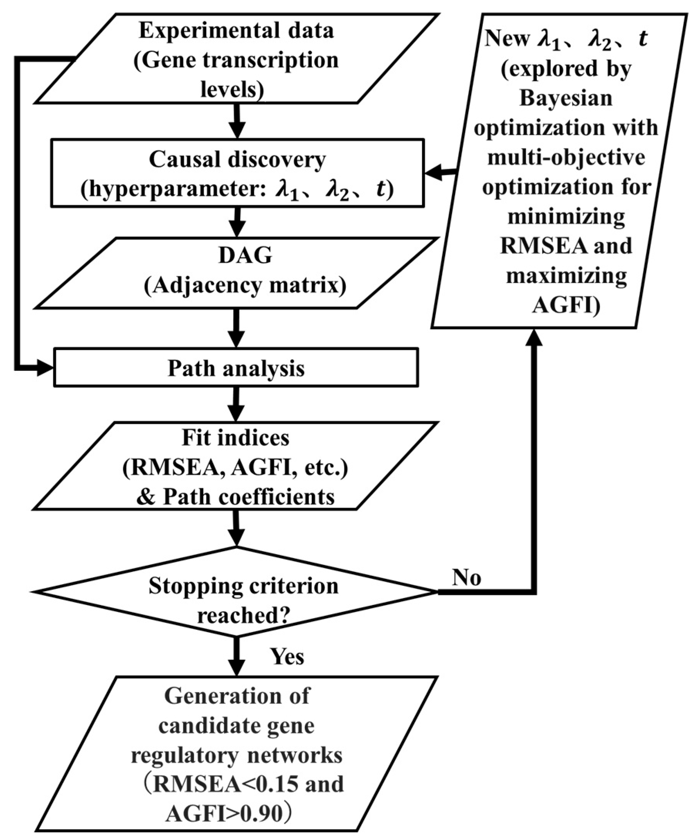 Gene Regulatory Network Inference Relating to Glycolysis in Escherichia ...