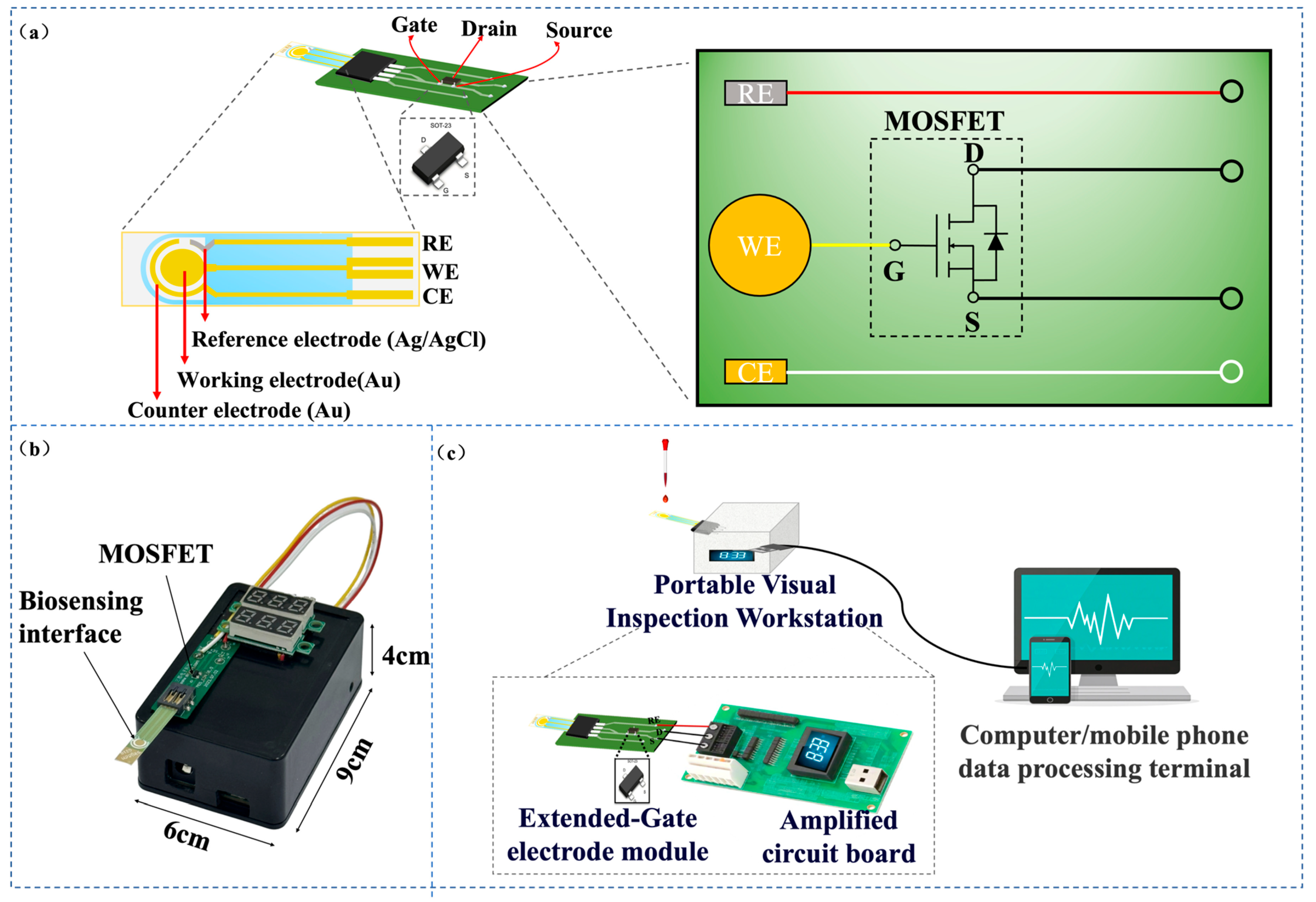 Electrochemical Sensors Development for Bacterial Detection and ...