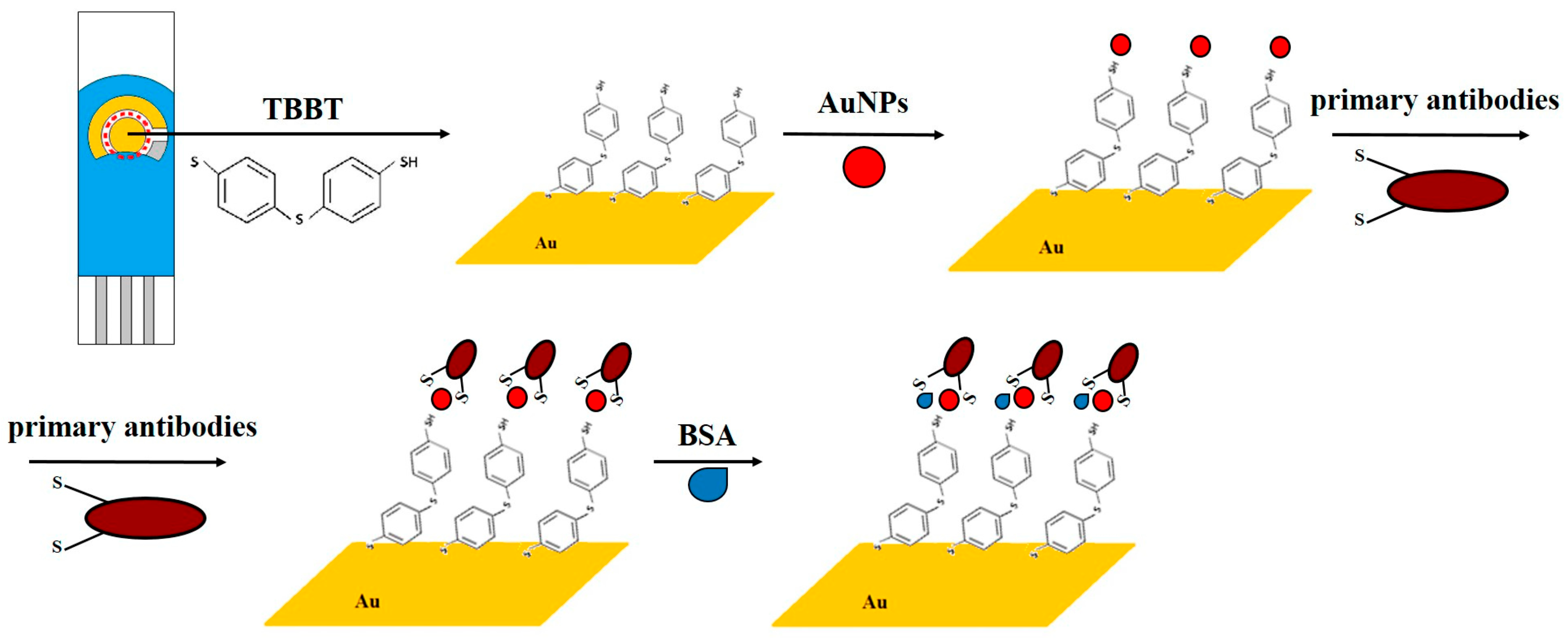 Electrochemical Sensors Development for Bacterial Detection and ...