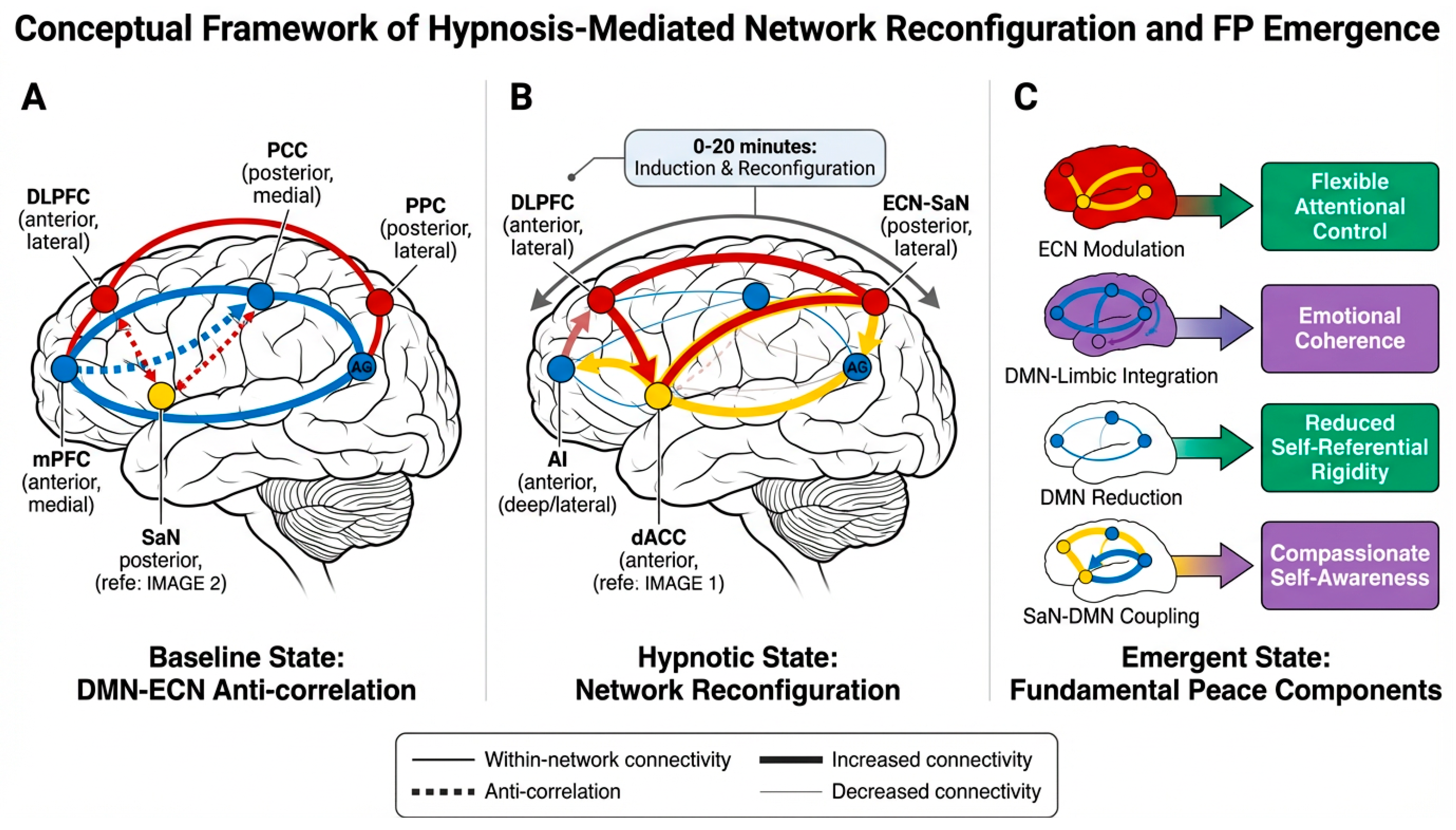 Figure 1 — Three-panel structure: (A) baseline DMN–ECN anti-correlation; (B) network reconfiguration during hypnotic induction (DMN reduction, ECN–SaN coupling); (C) emergence of the four FP components.