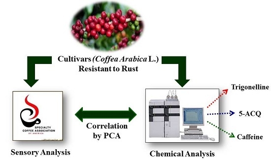 Effect of fermentation on the quality of conilon coffee (Coffea canephora):  Chemical and sensory aspects - ScienceDirect