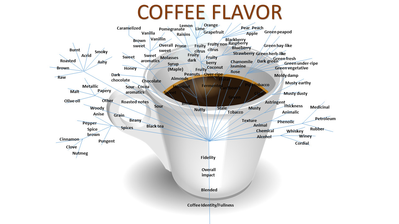 Coffee Tasting Journal PDF Printable Download