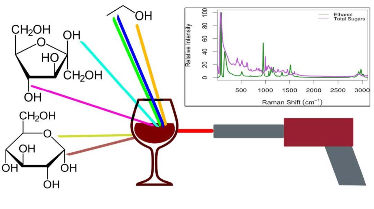 Beverages Free Full-Text Alcoholic Fermentation Monitoring and pH Prediction in Red and White Wine by Combining Spontaneous Raman Spectroscopy and Machine Learning Algorithms