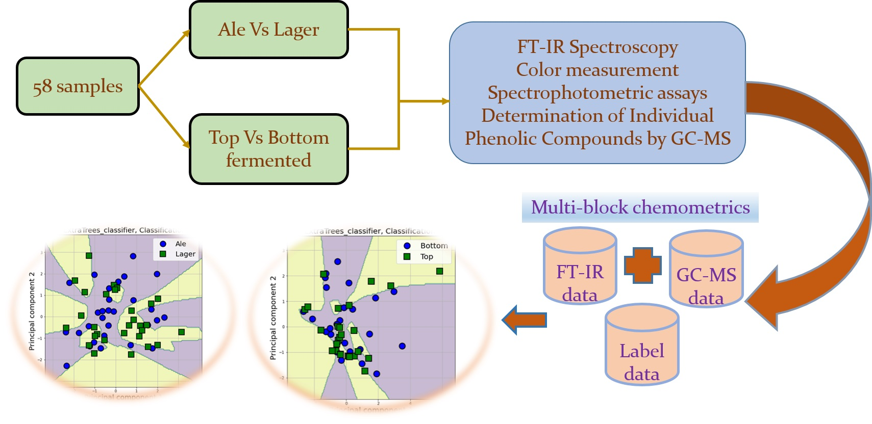 Classification of Beers Through Comprehensive Physicochemical ...
