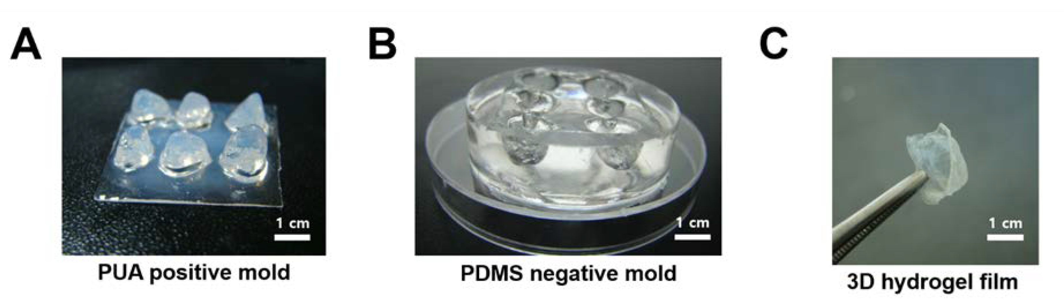 The Mold-maker device, the agarose molds it produces and the final