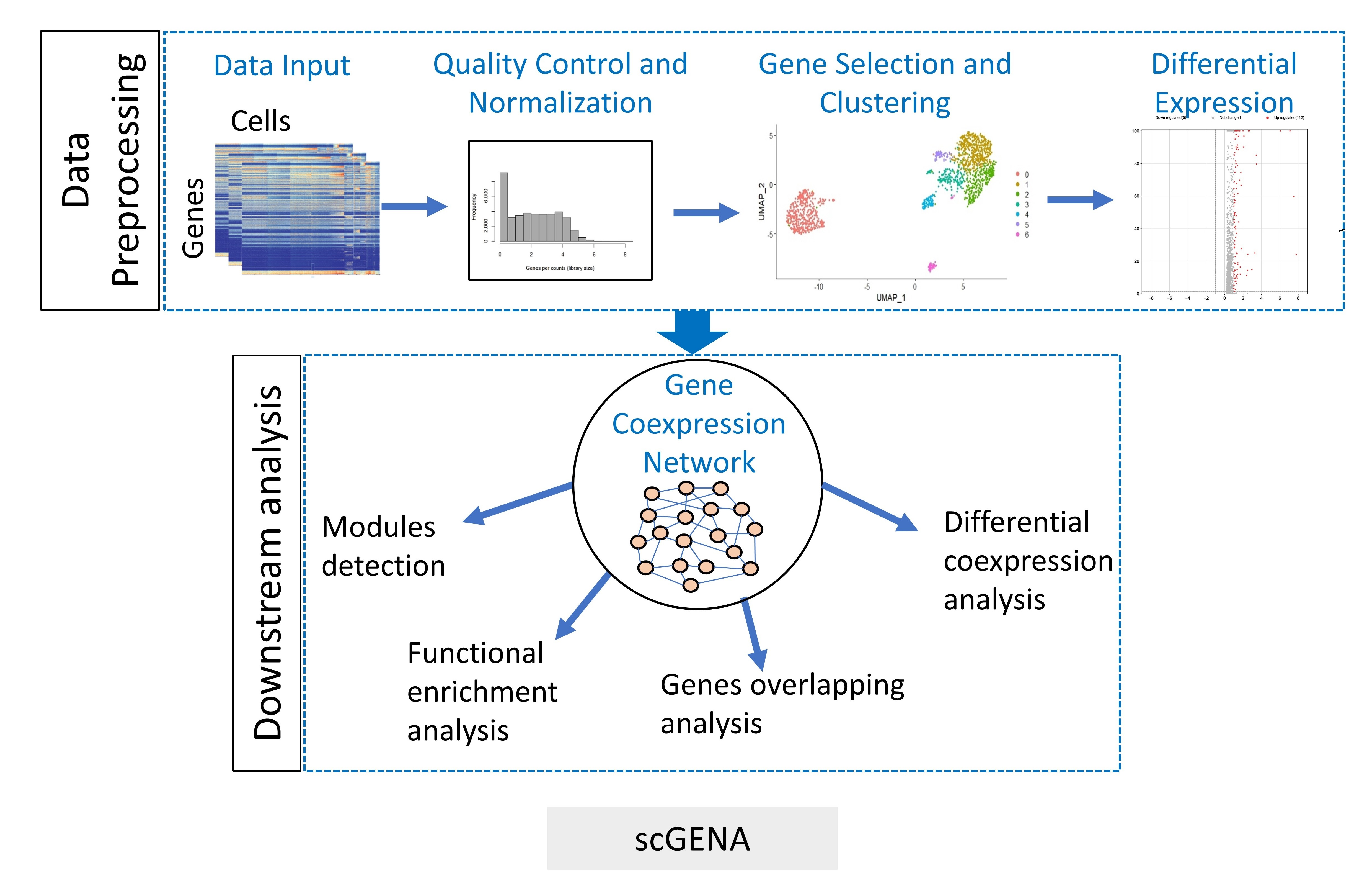 GWENA: gene co-expression networks analysis and extended modules  characterization in a single Bioconductor package, BMC Bioinformatics
