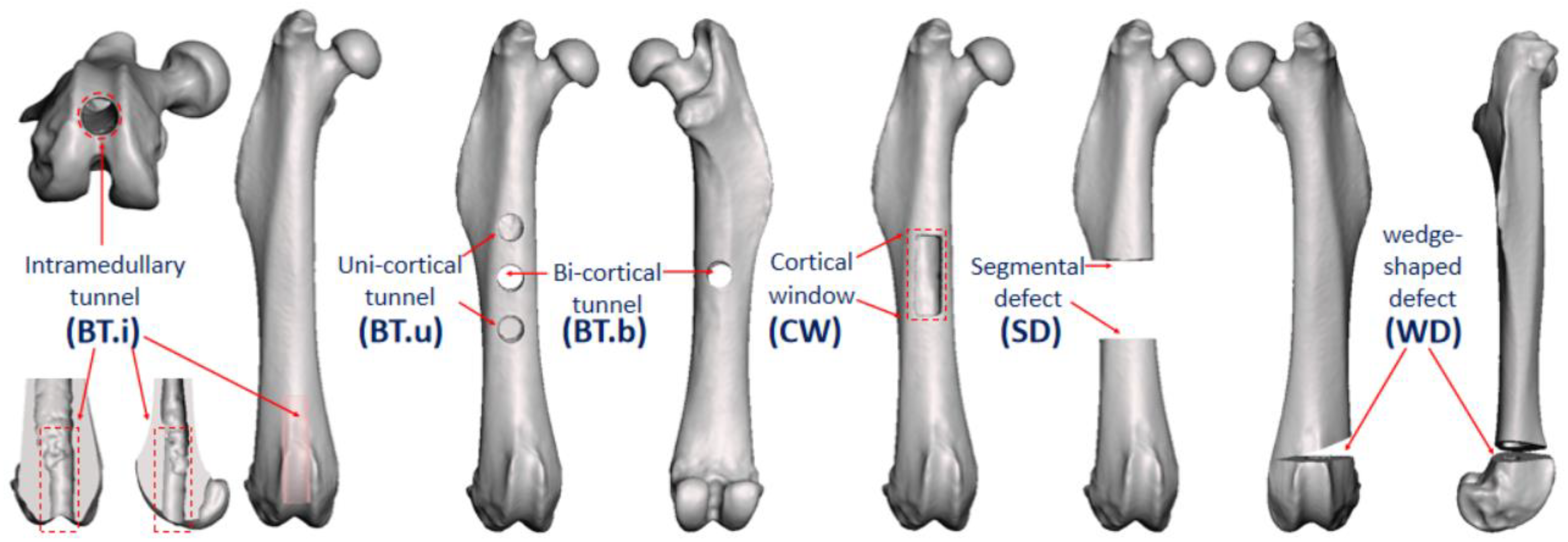 Bioengineering | Free Full-Text | Surgical Classification For ...