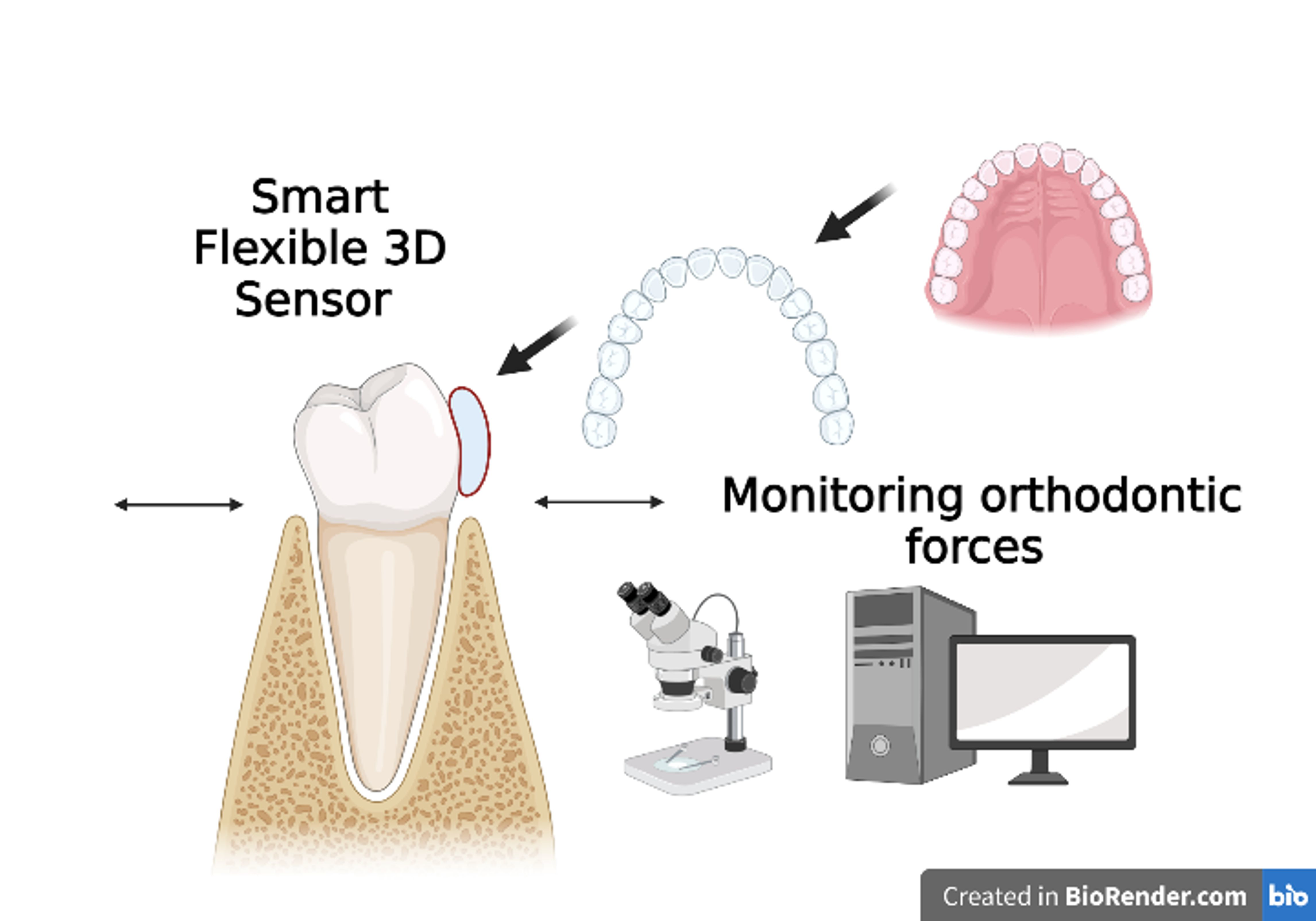 Orthodontic Fractional CMO Services