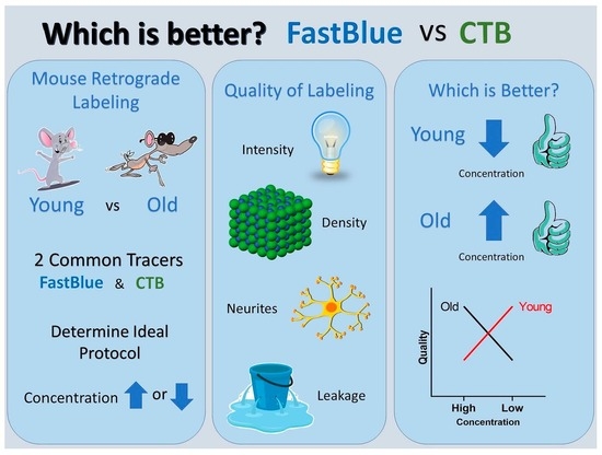 How to think better: the complete guide - Ness Labs