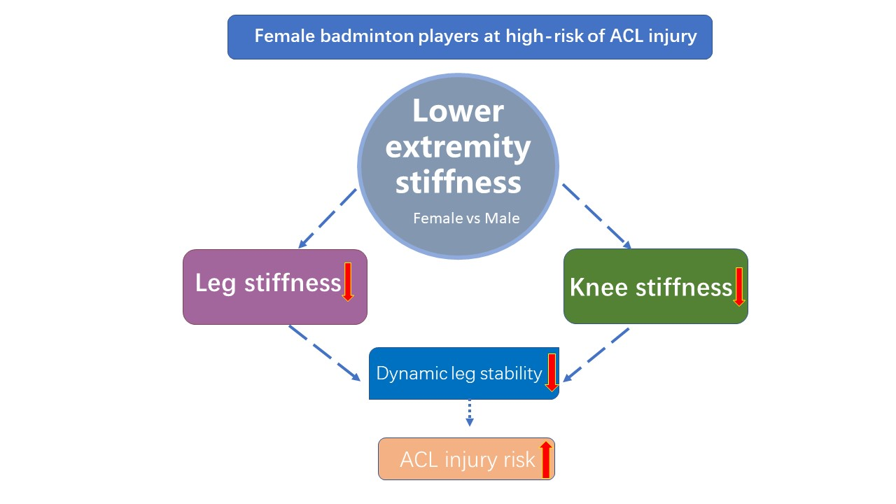 External and internal load during the effort tests in different ages in  young futsal players: association between leg power, shot speed and fatigue  levels in: Comparative Exercise Physiology Volume 19 Issue 2 (2023)