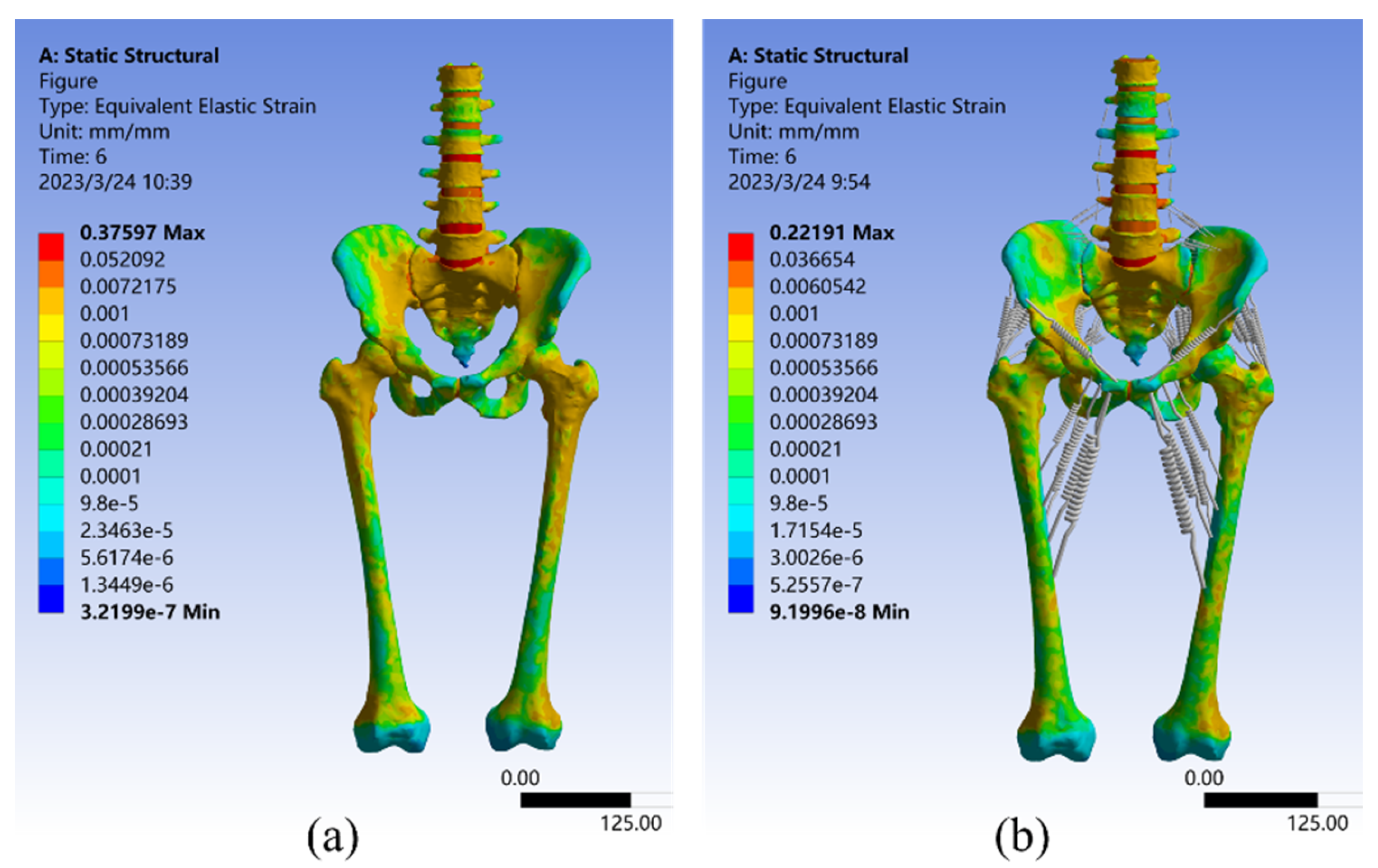 An Integrated Method Of Biomechanics Modeling For Pelvic Bone And An Integrated Method Of Biomechanics Modeling For Pelvic Bone And