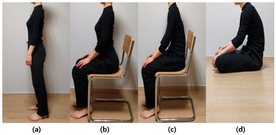 Thoracic Lumbar Back Support, Sitting Posture