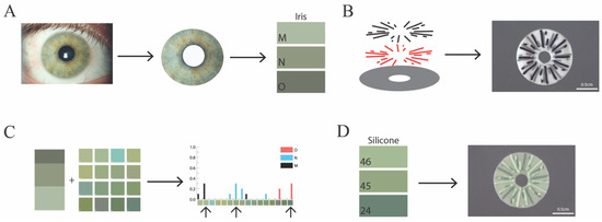 British project uses 3D printing for prosthetic eyes