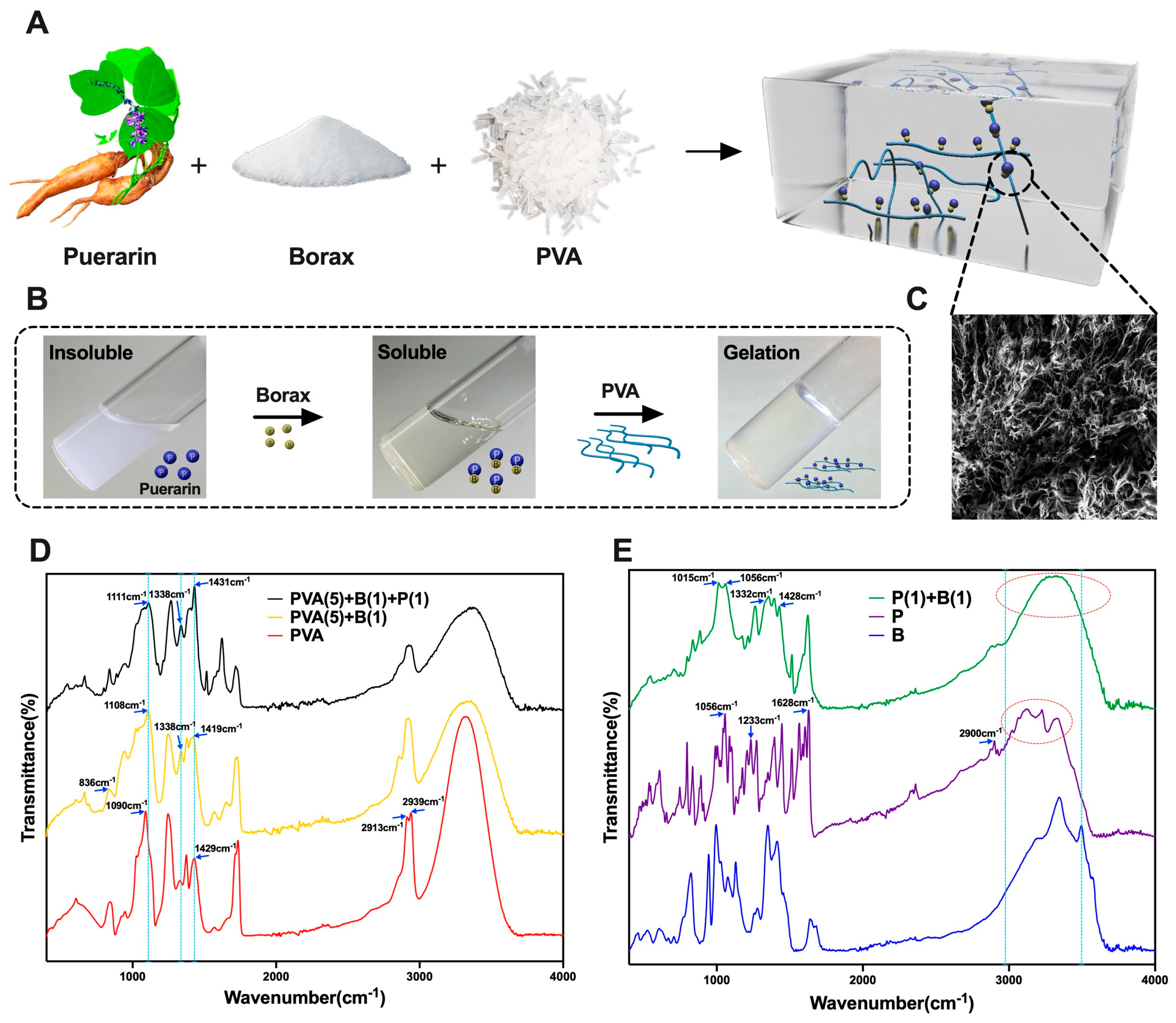 Self-Healing Polymeric Puerarin Hydrogel Dressing Promotes