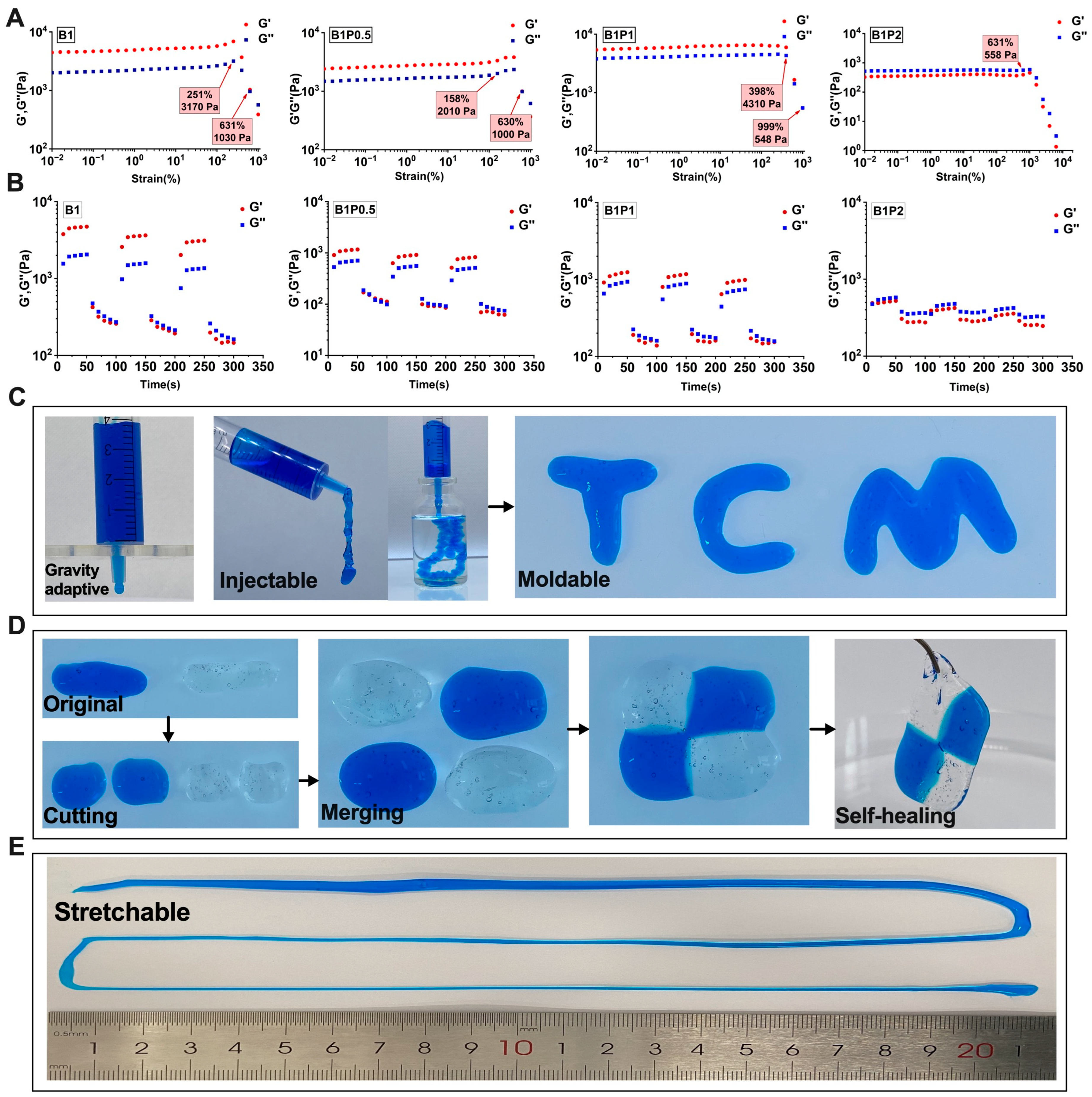 Self-Healing Polymeric Puerarin Hydrogel Dressing Promotes