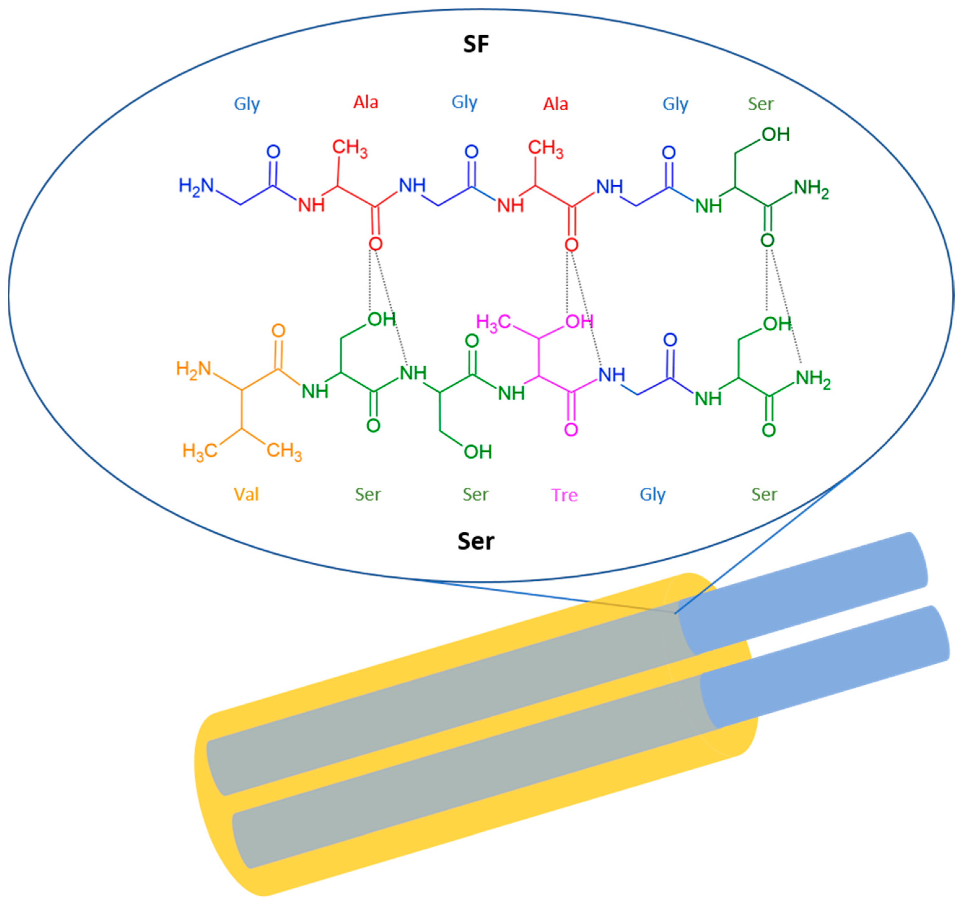 Recycled Sericin Biopolymer in Biotechnology and Bioelectronics